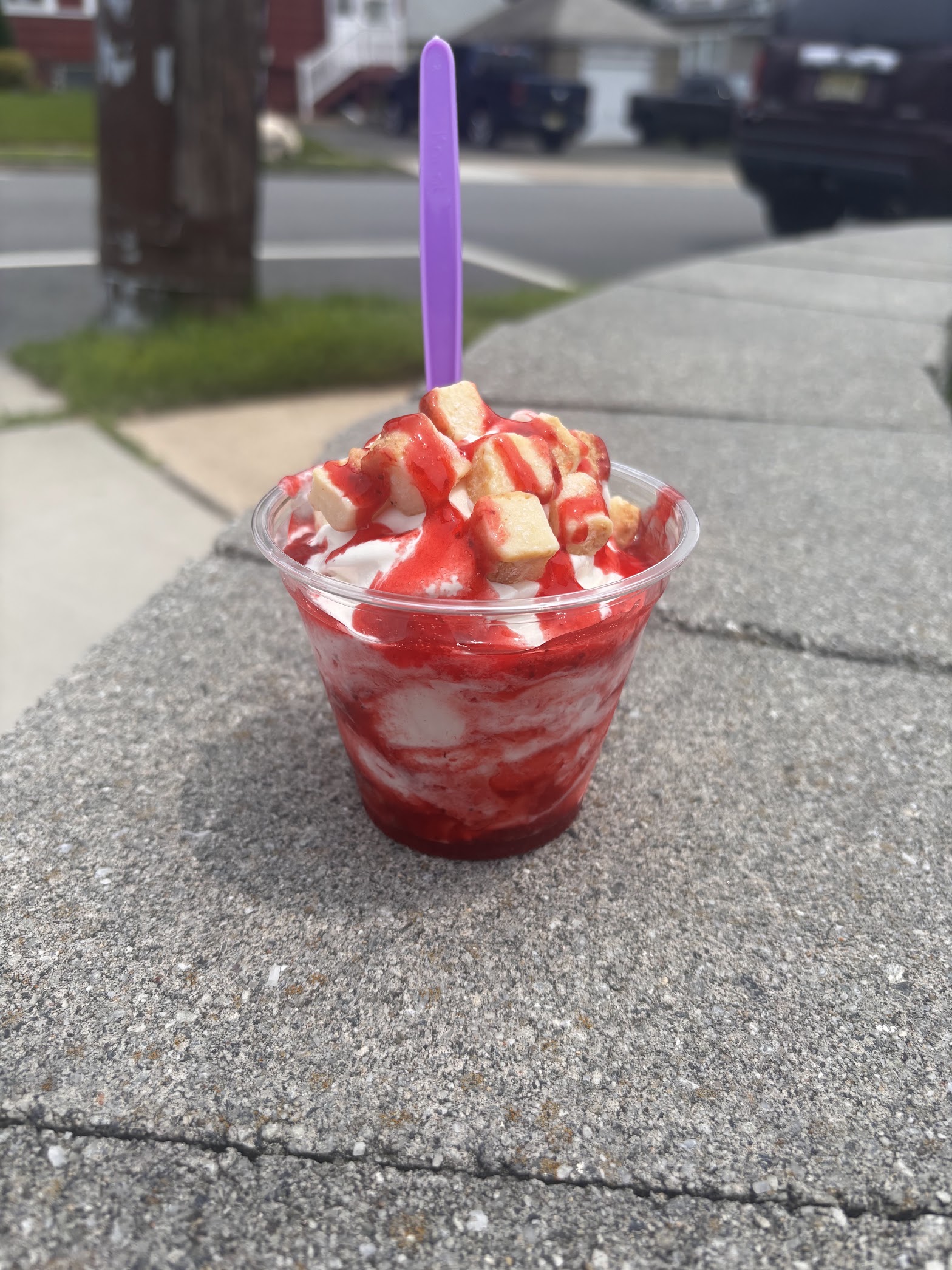 Leo's Italian Ice & Ice Cream photo