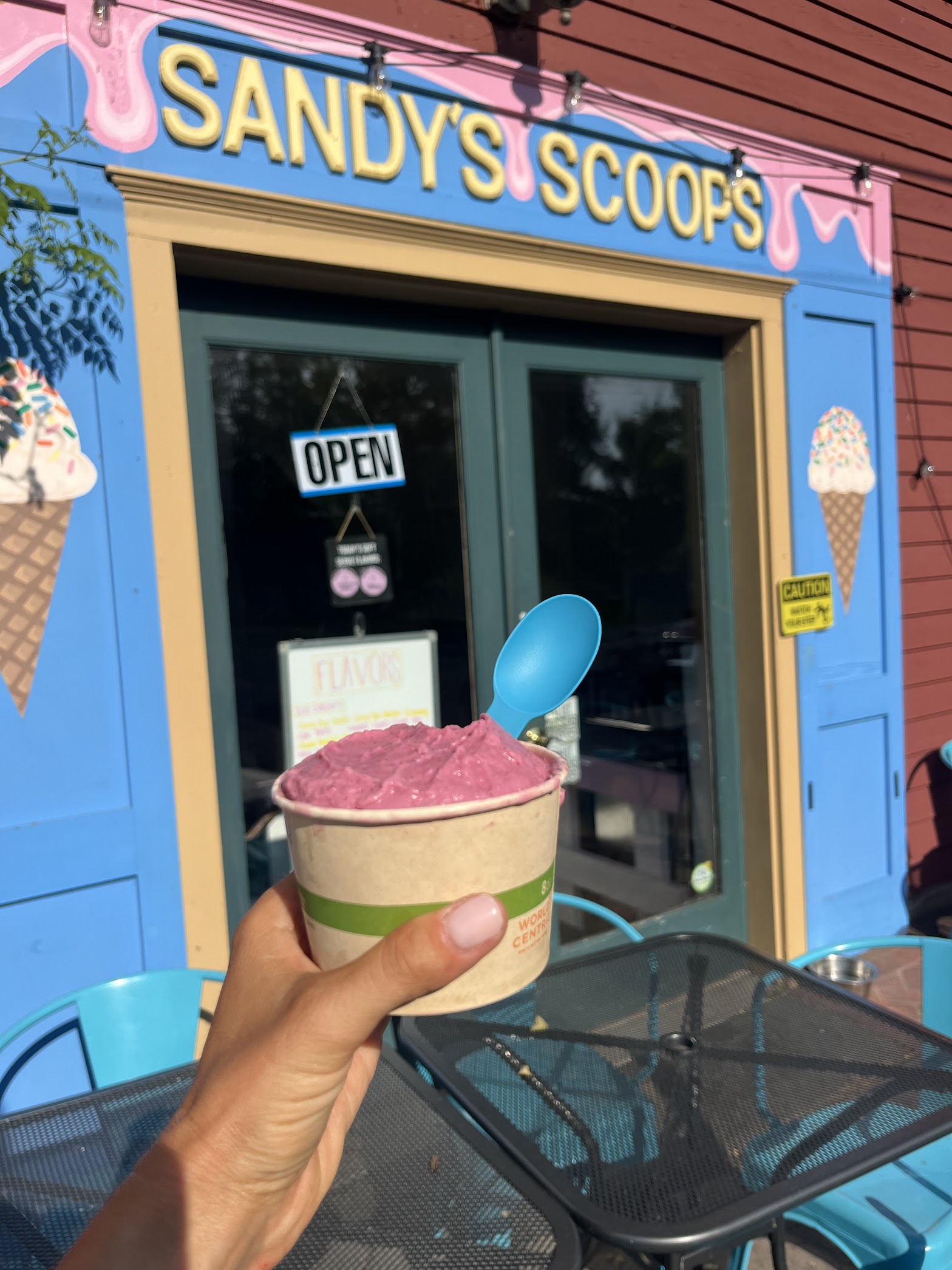 Sandy's Scoops photo