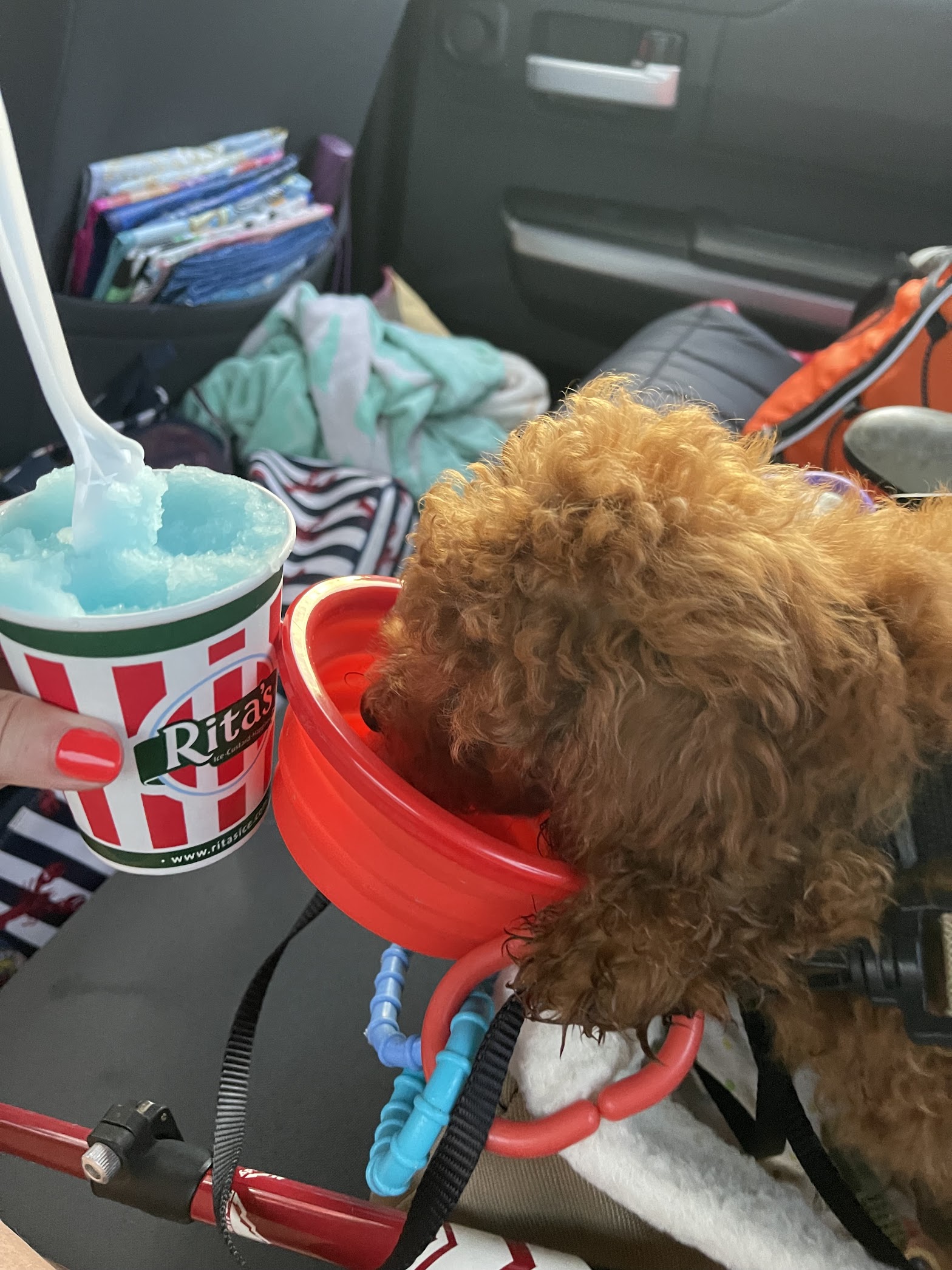 Rita's Italian Ice & Frozen Custard photo
