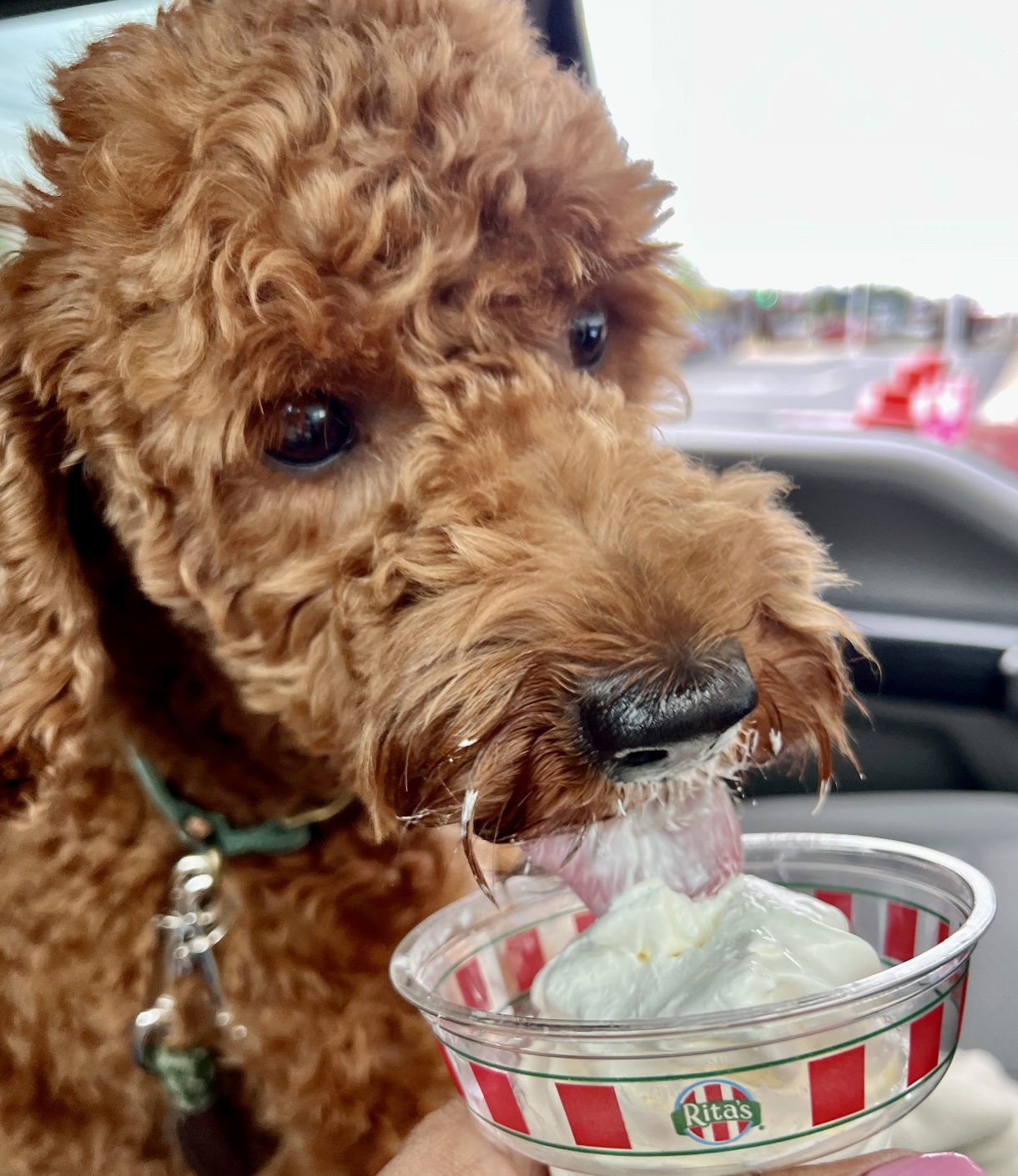 Rita's Italian Ice & Frozen Custard photo