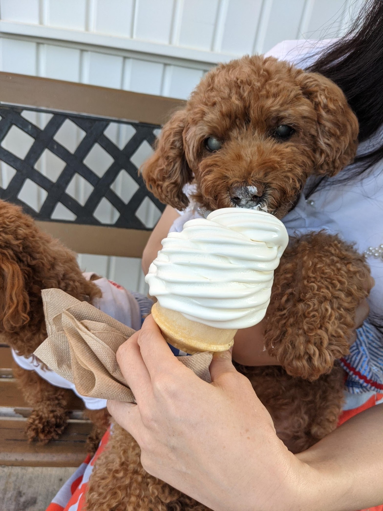 Ernie's Ice Cream photo