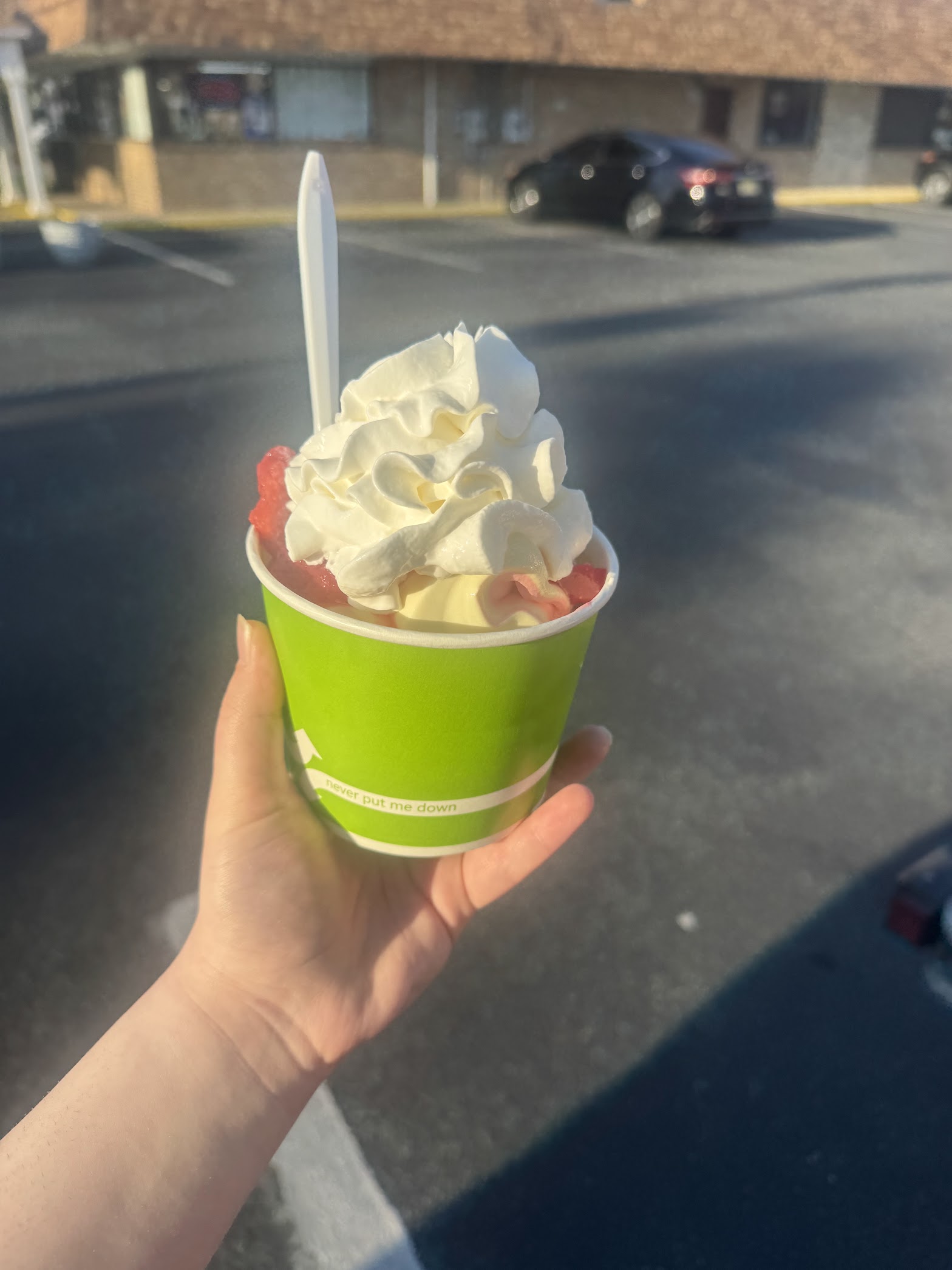 Verona Custard photo