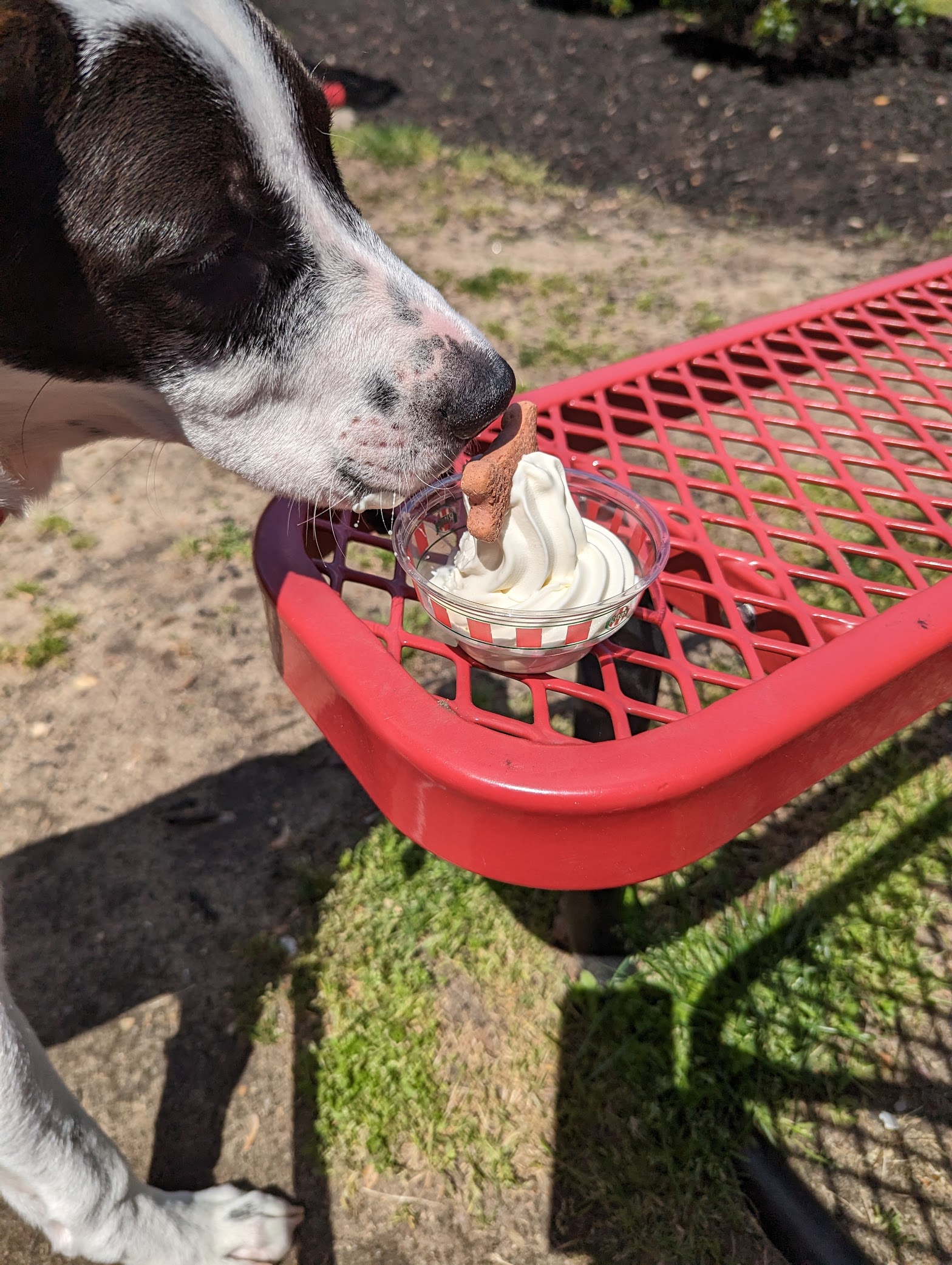 Rita's of Pine Hill NJ photo
