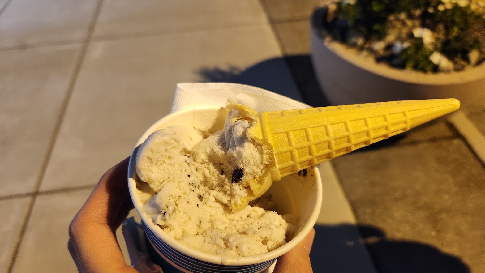 Dairy Delite