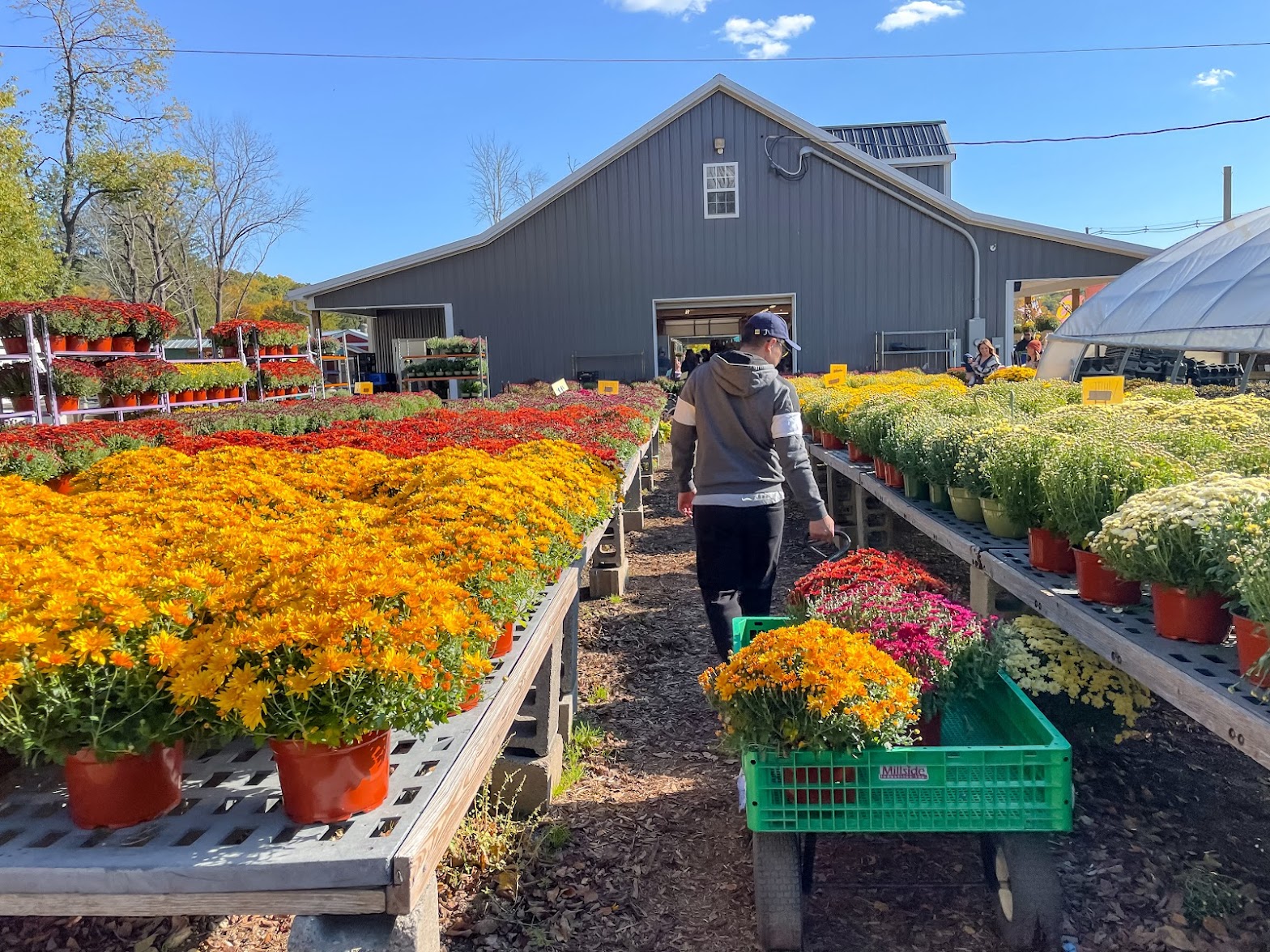 Andersen Farms photo