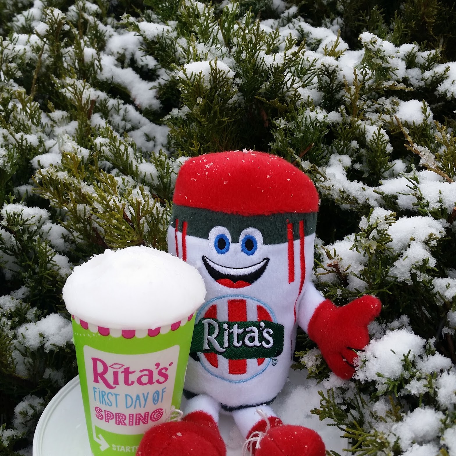 Rita's Italian Ice & Frozen Custard photo