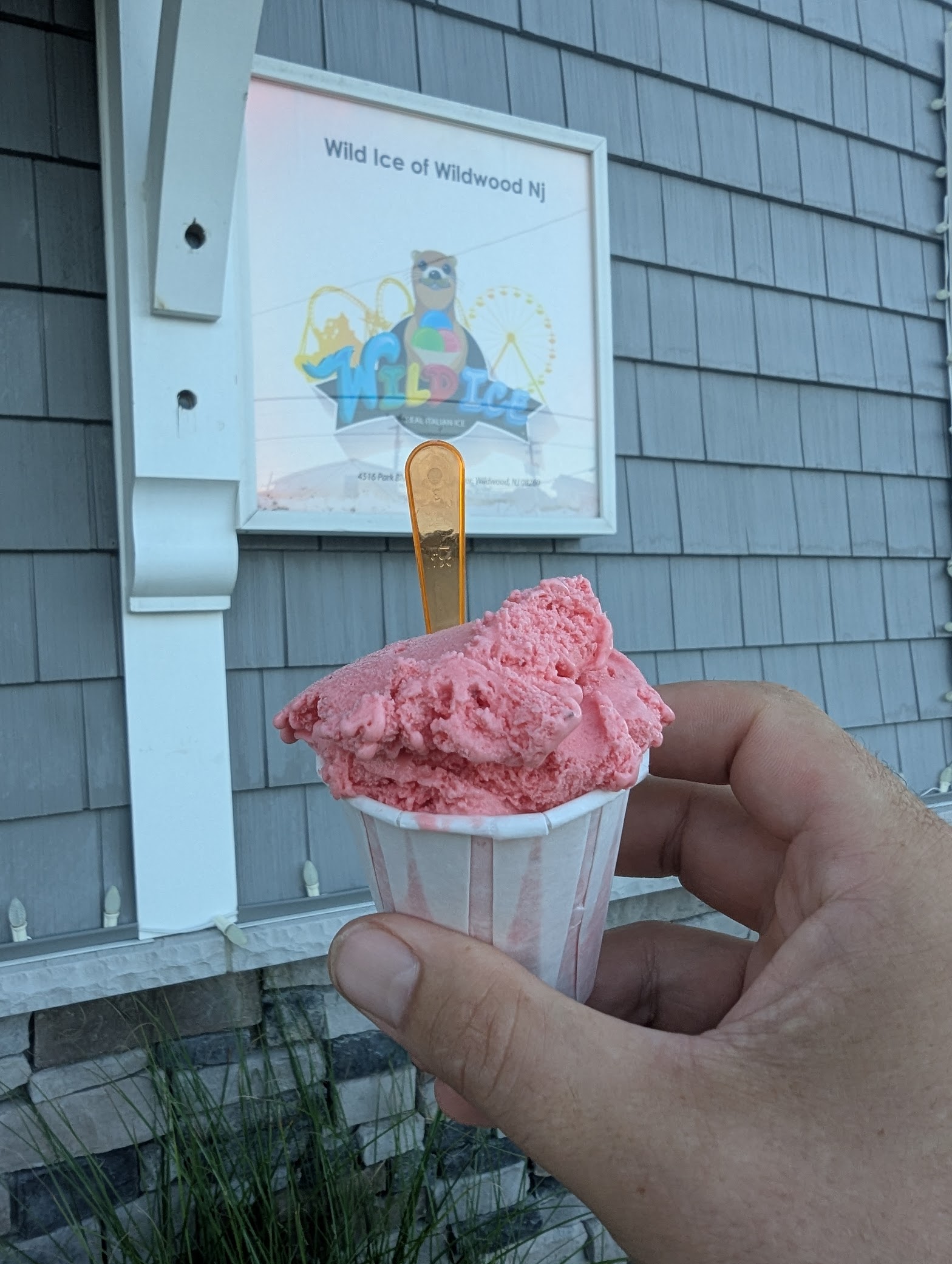 Wild Ice - Italian Ice & Gelato photo