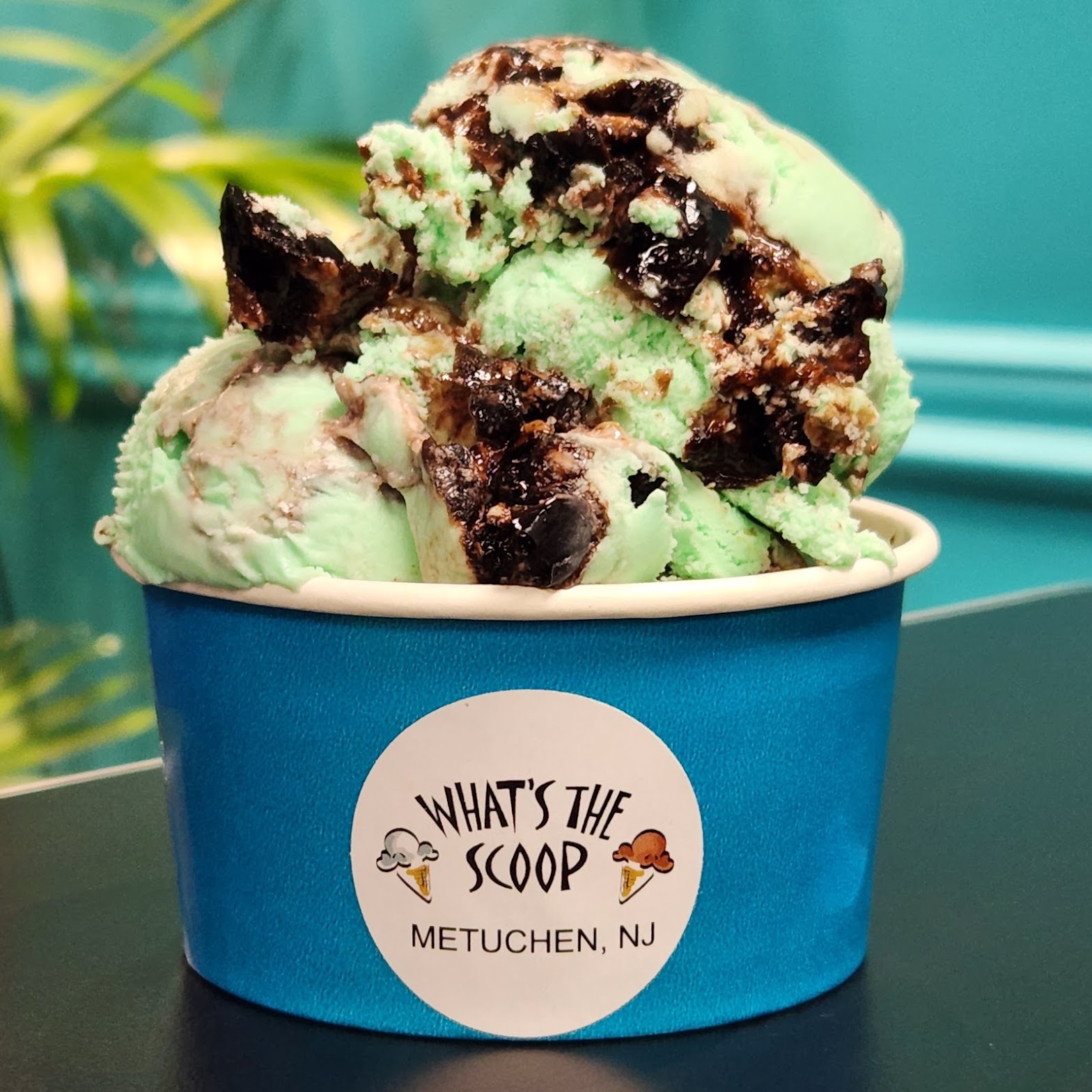 What's the Scoop photo