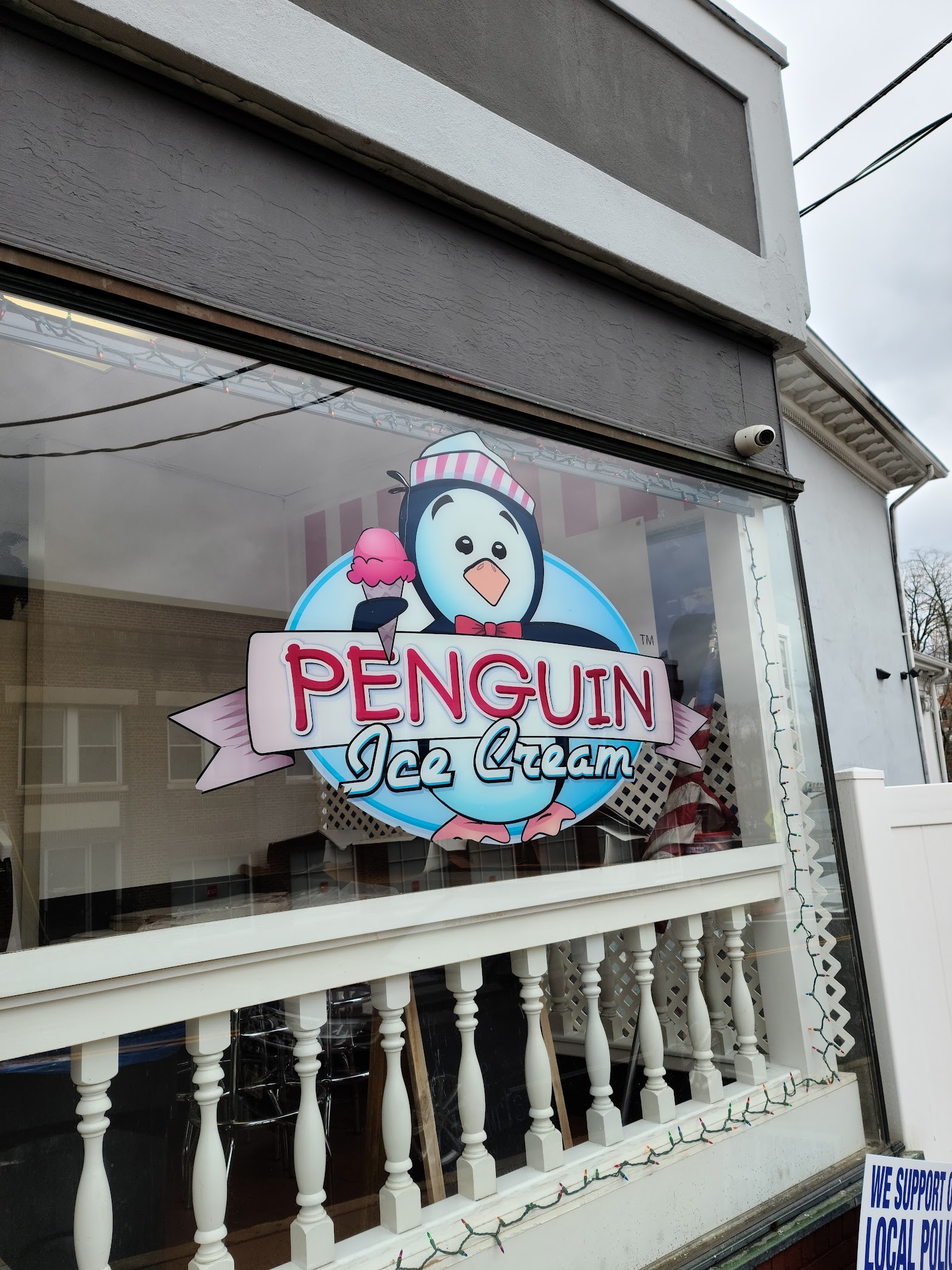 Penguin Ice Cream photo