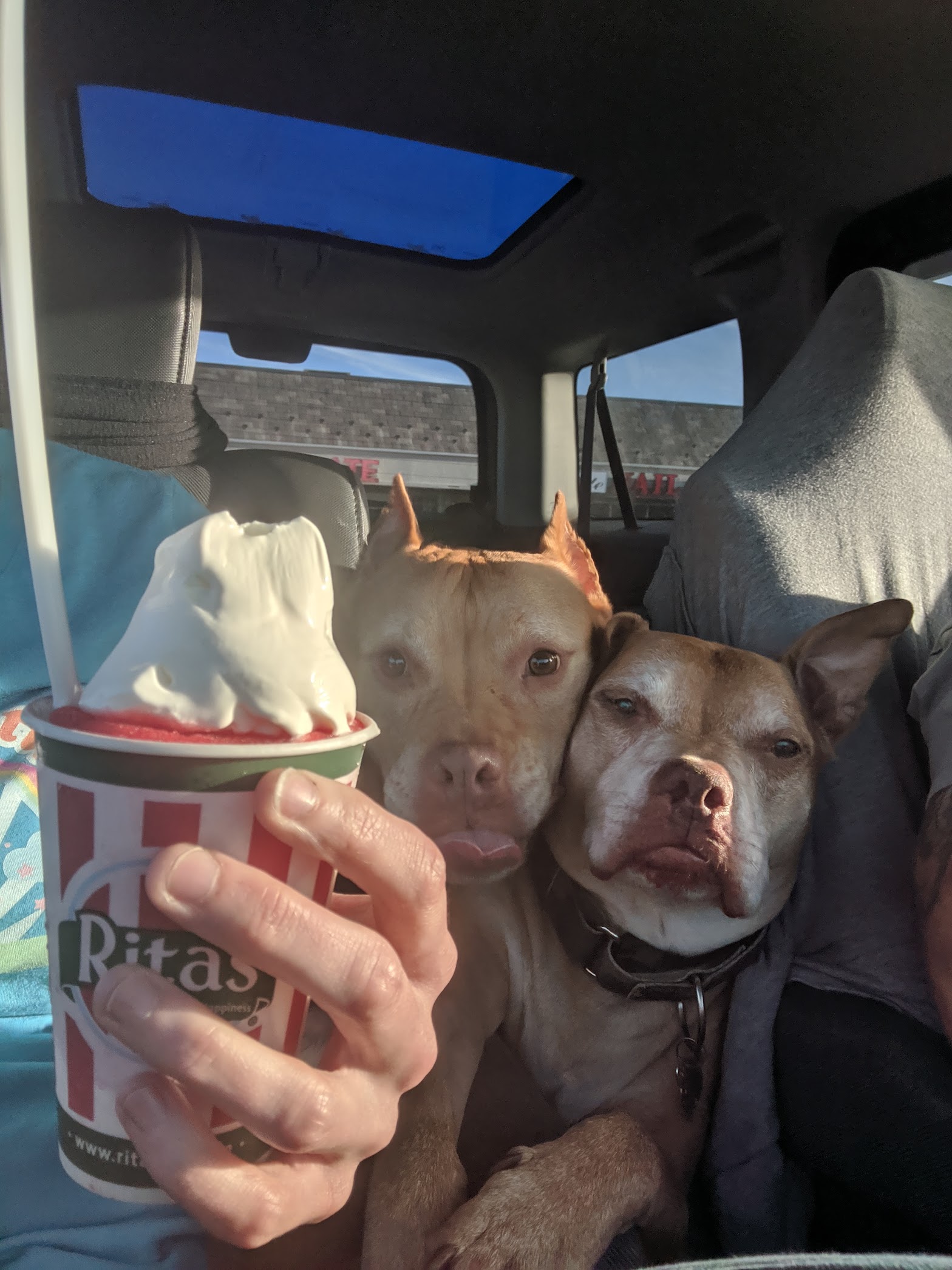 Rita's Italian Ice & Frozen Custard photo