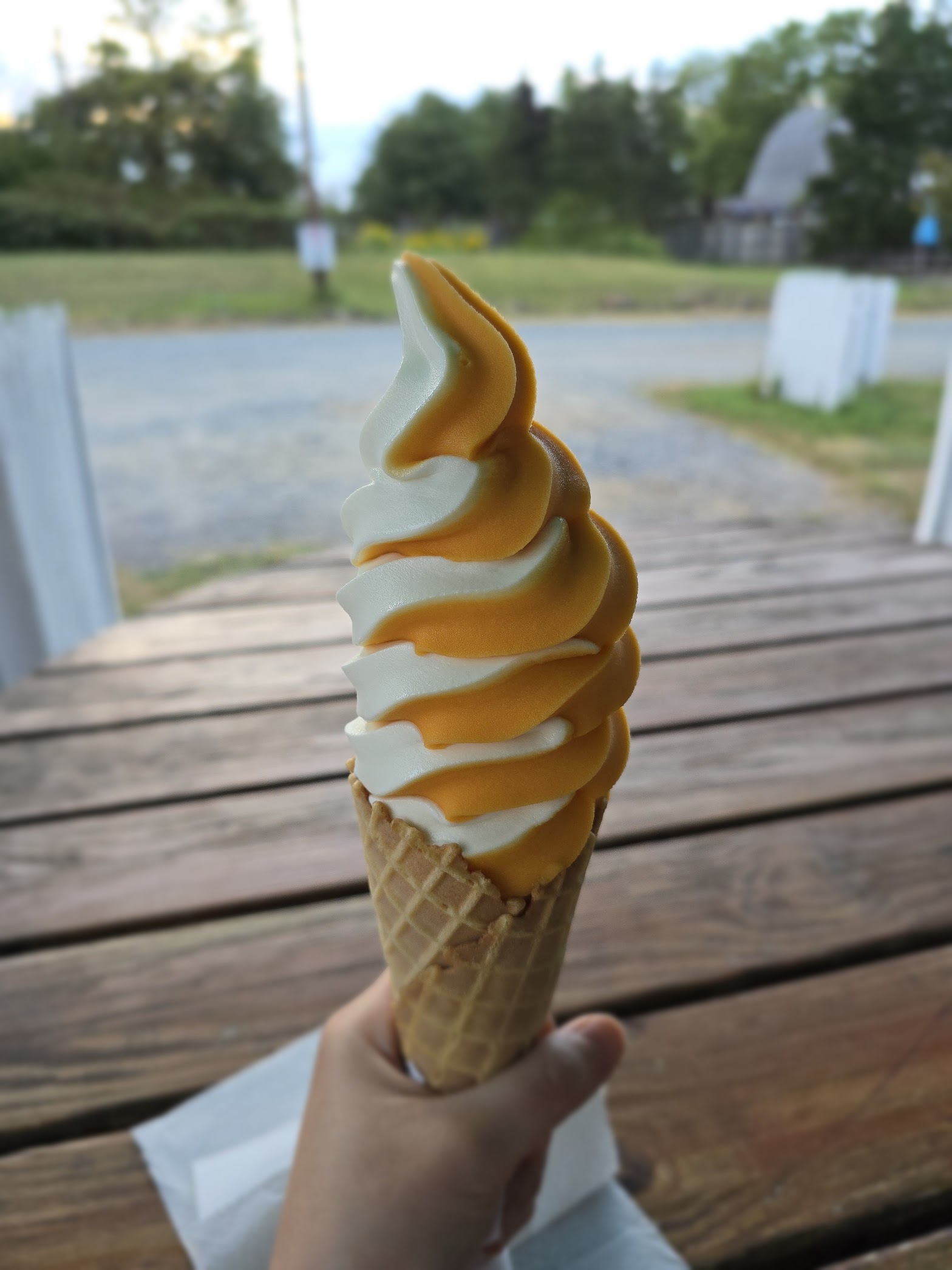 Cream King photo