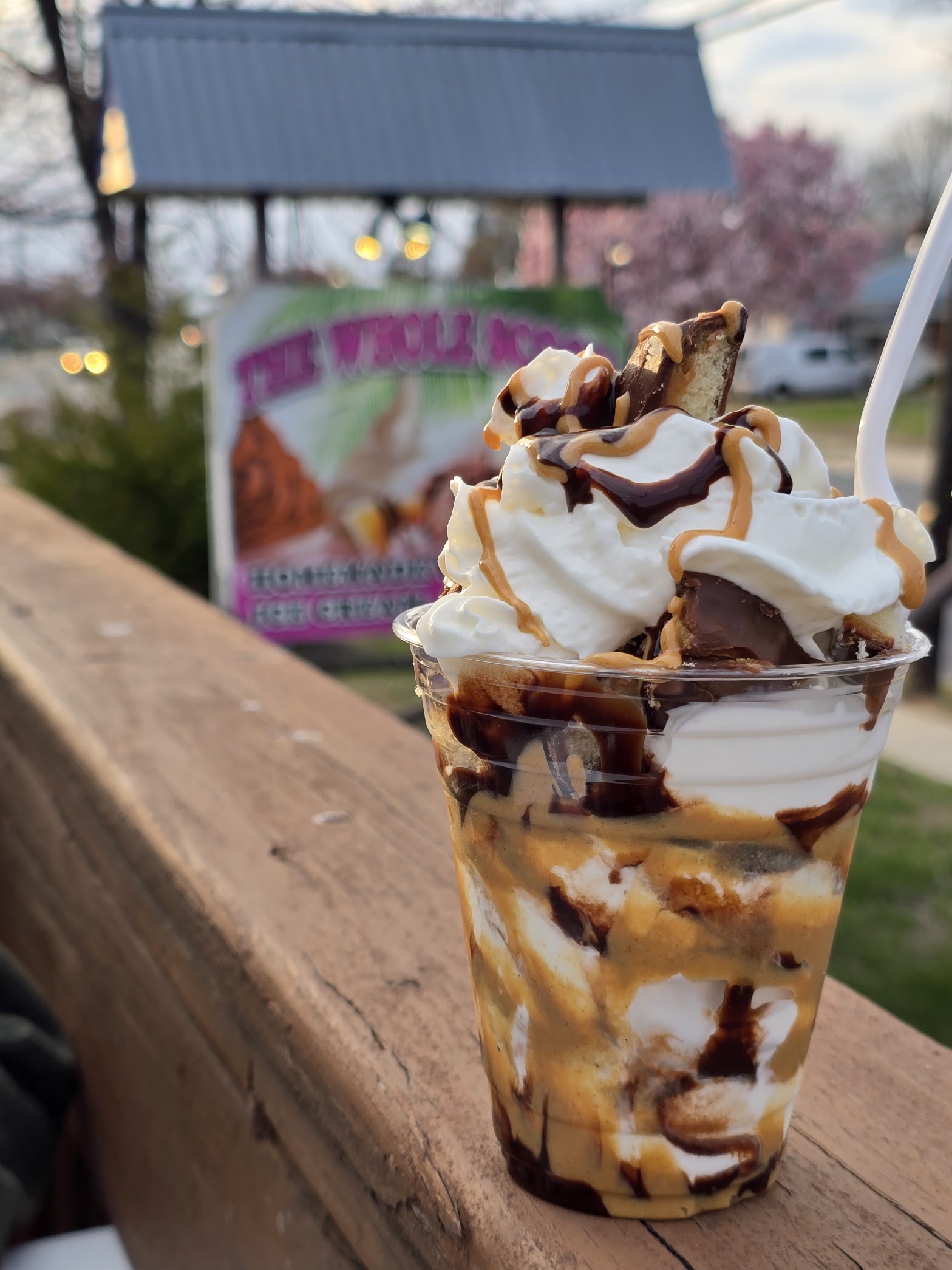 The Whole Scoop photo