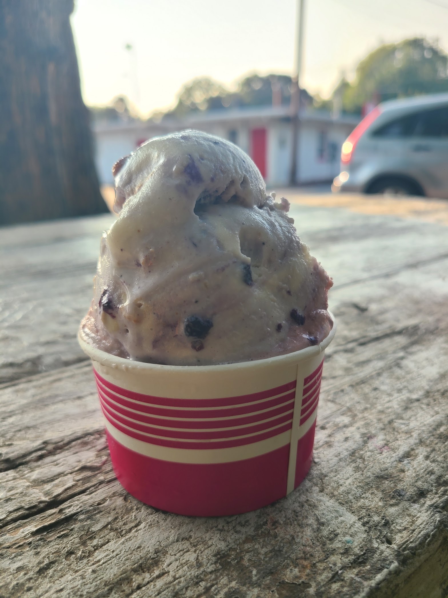 Terry's Custard photo