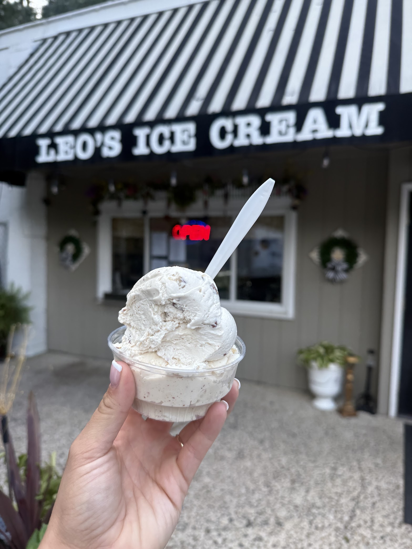 Leo's Famous Yum Yum photo
