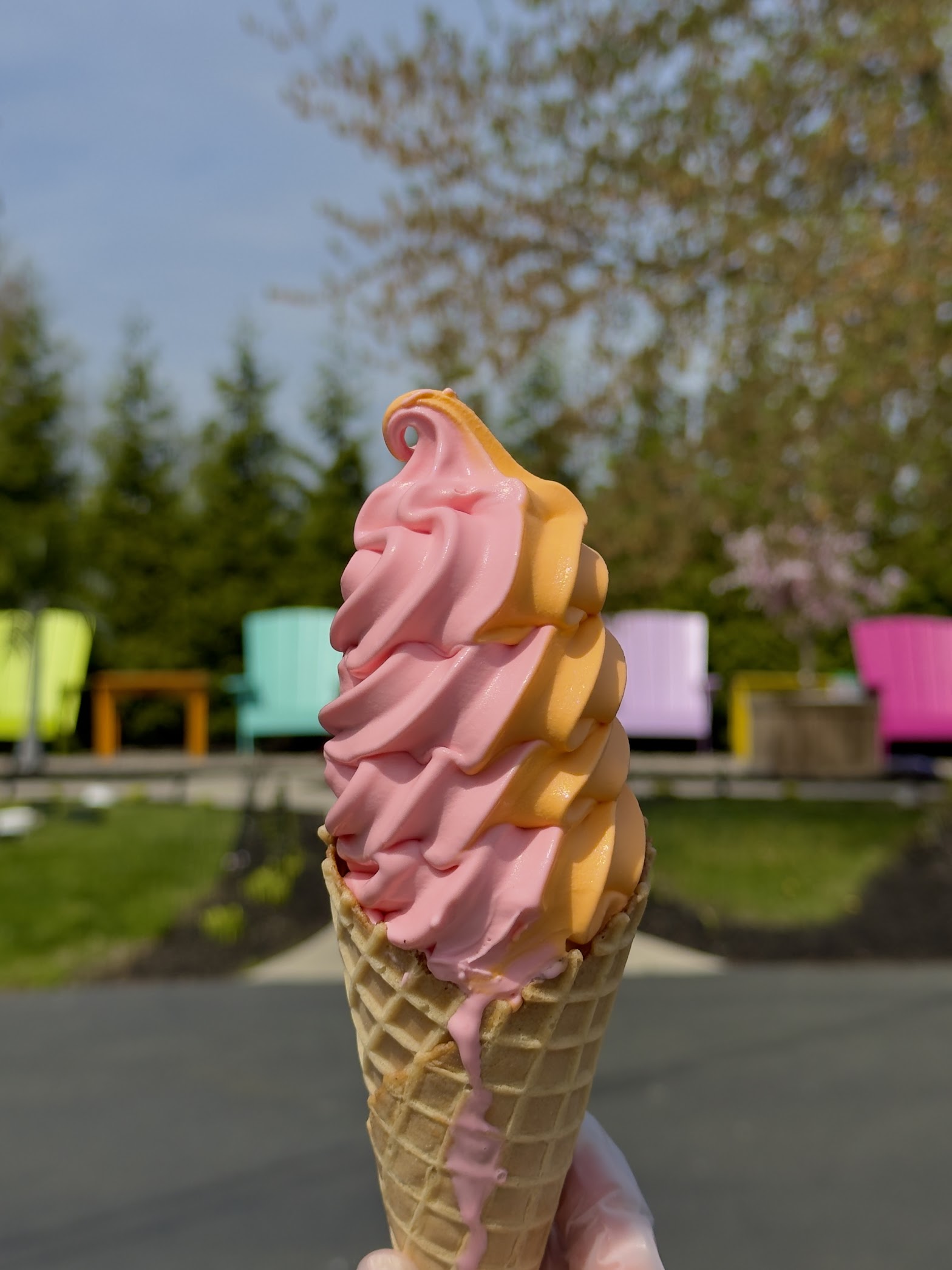 Bordentown Creamery photo