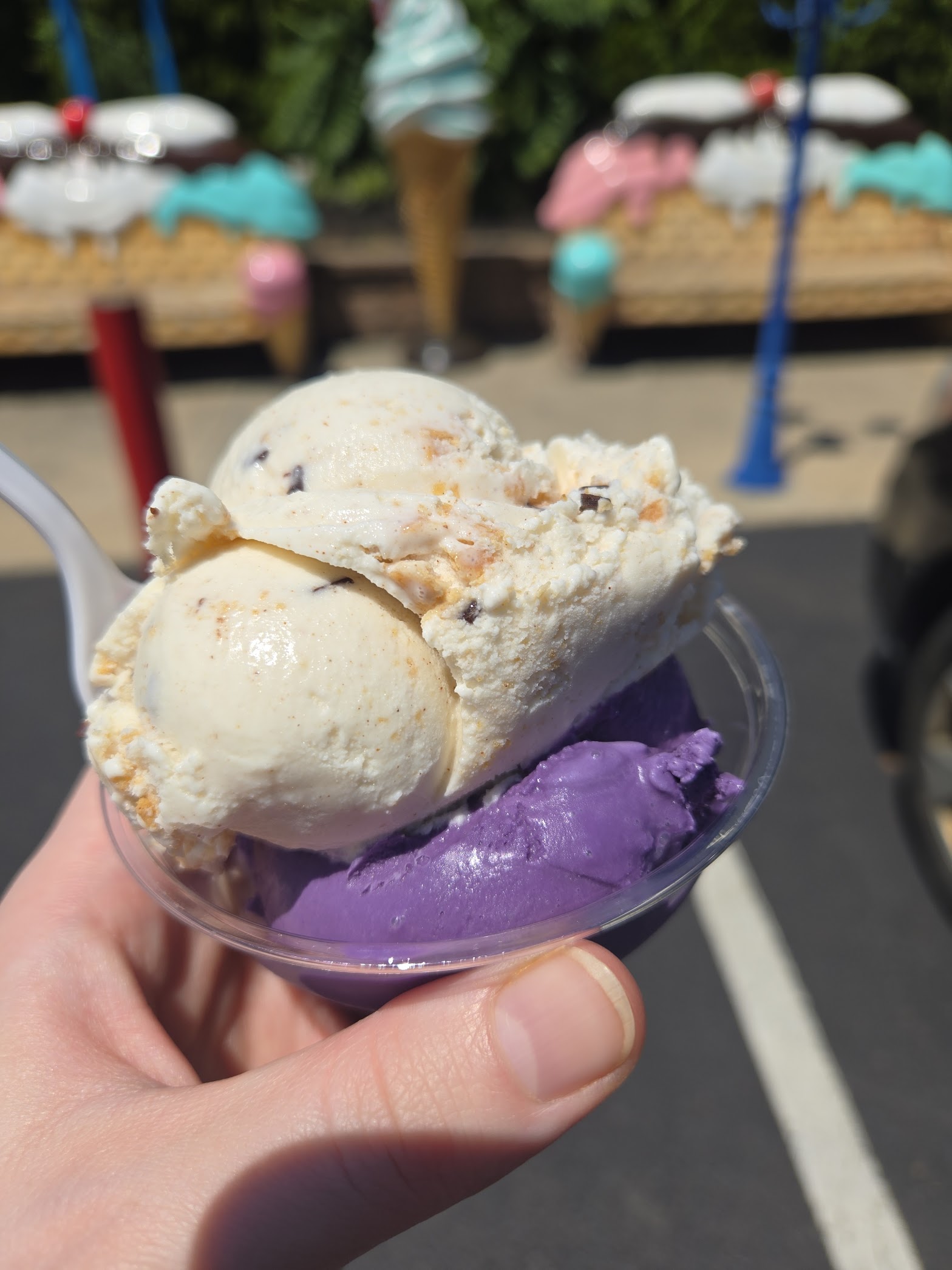 Bordentown Creamery photo