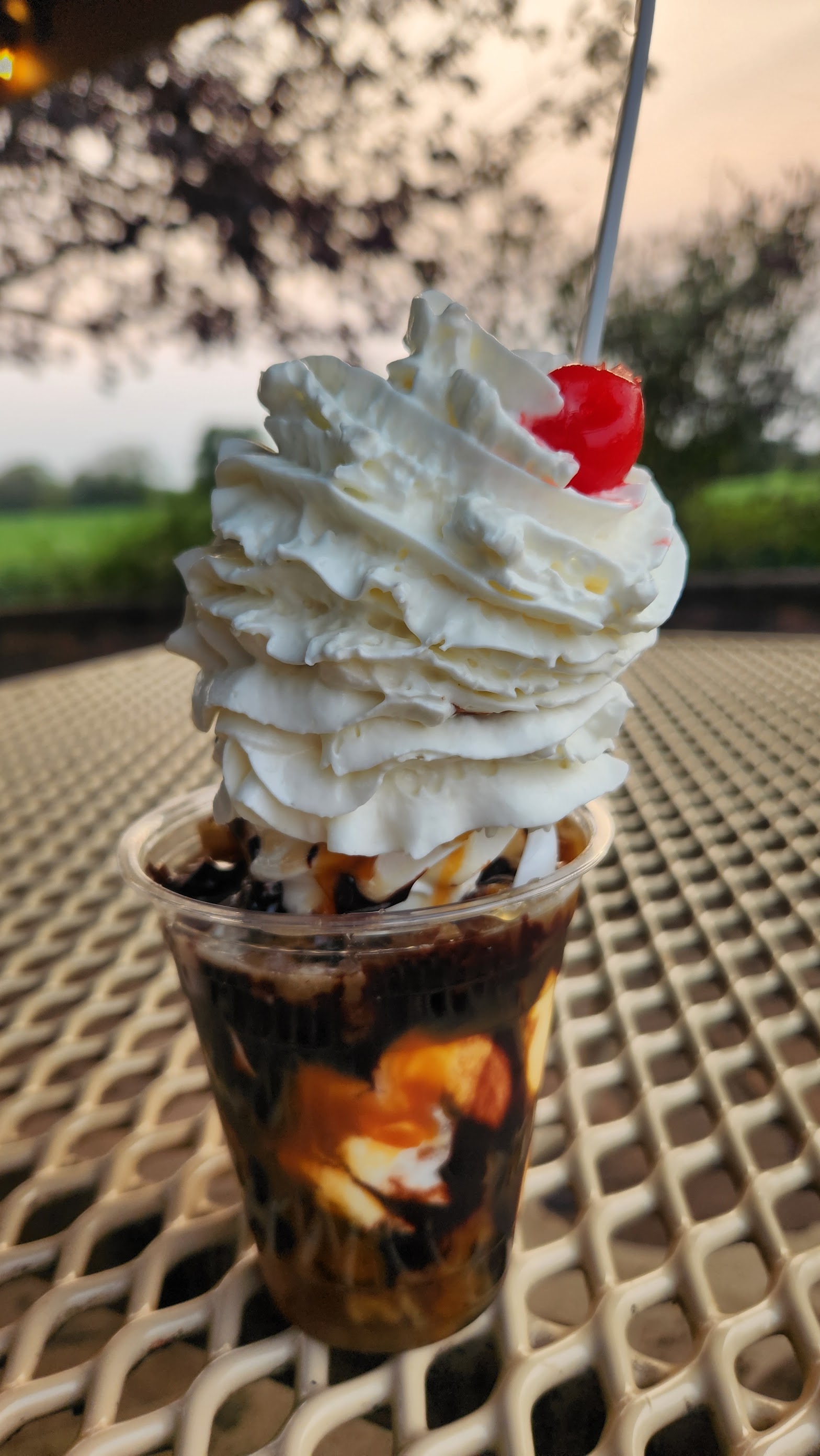 White Dotte Dairy Bar photo
