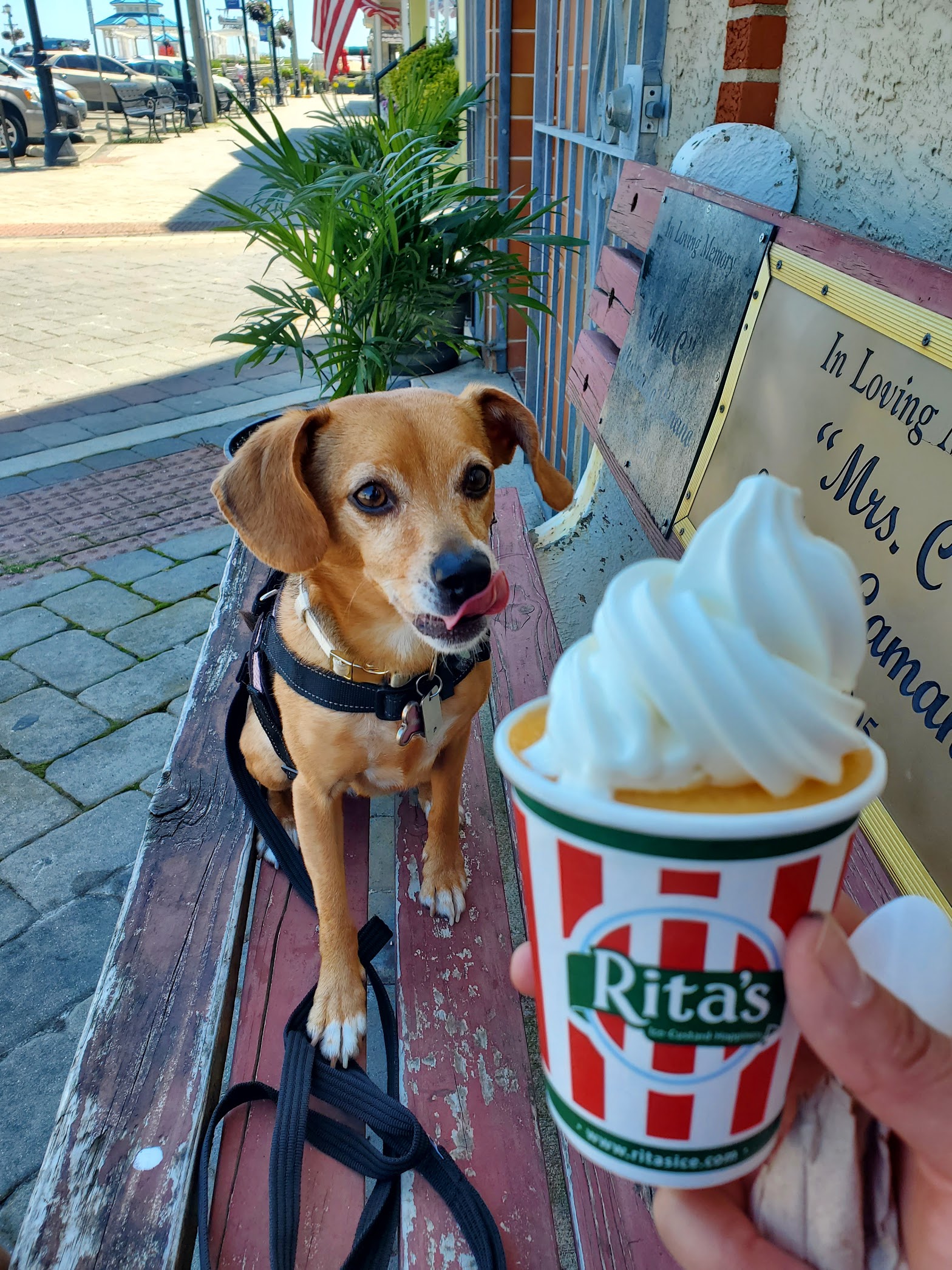 Rita's Italian Ice & Frozen Custard photo