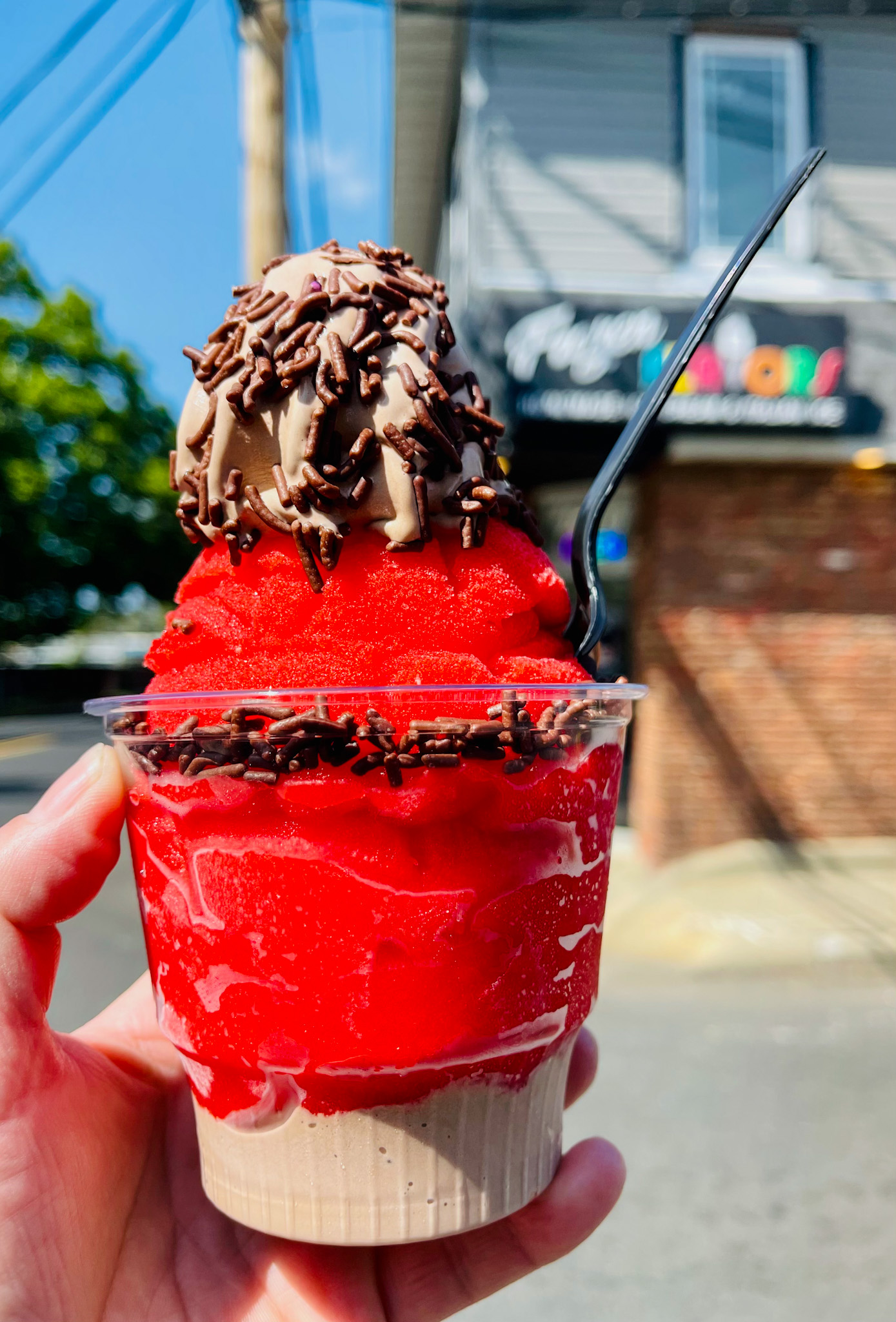Frozen Flavors Homemade Ice Cream & Italian Ice photo