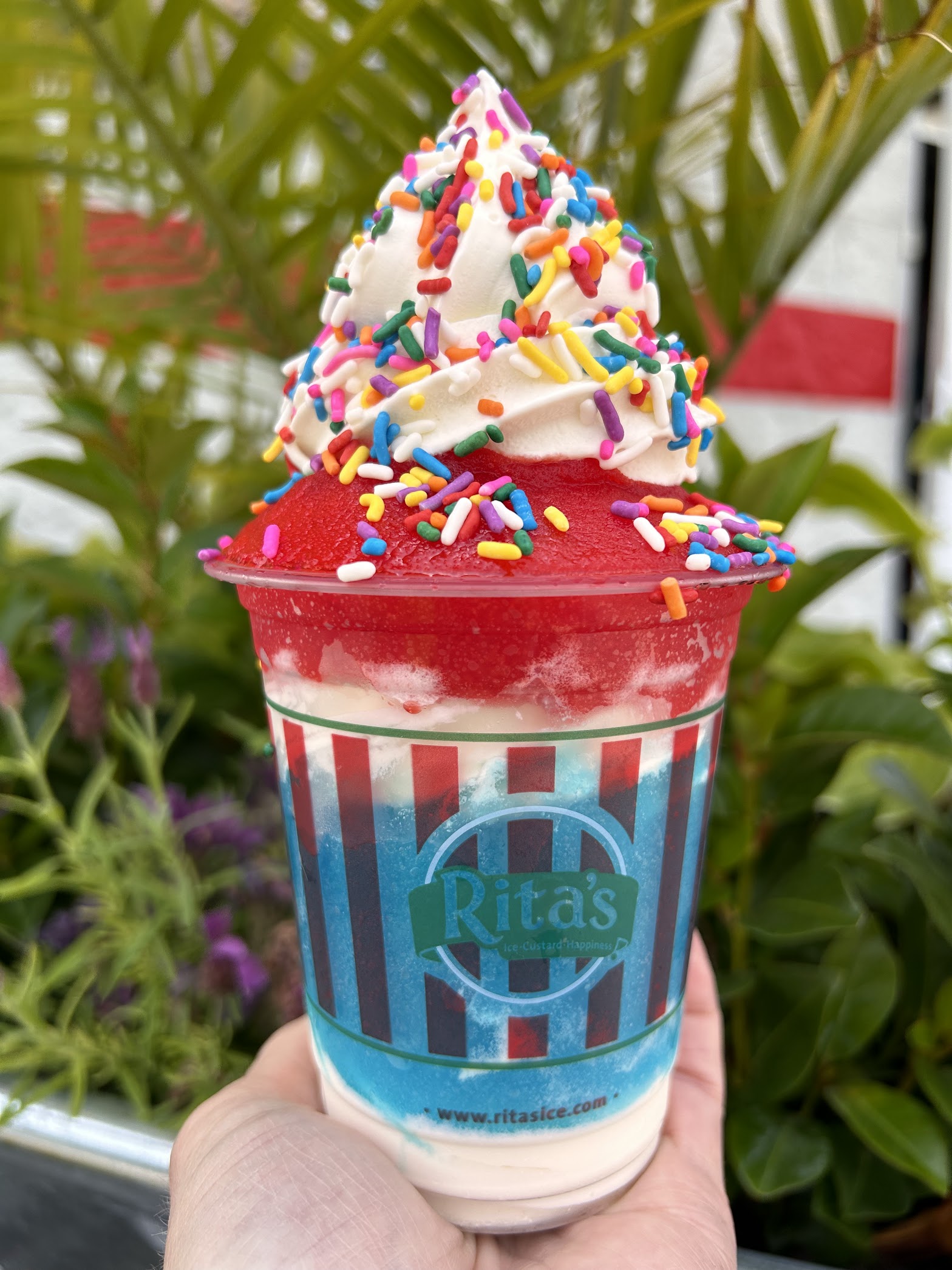 Rita's Italian Ice & Frozen Custard photo