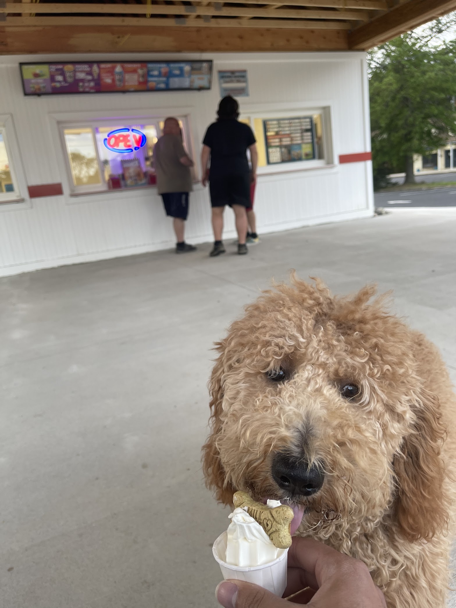 Rita's Italian Ice & Frozen Custard photo