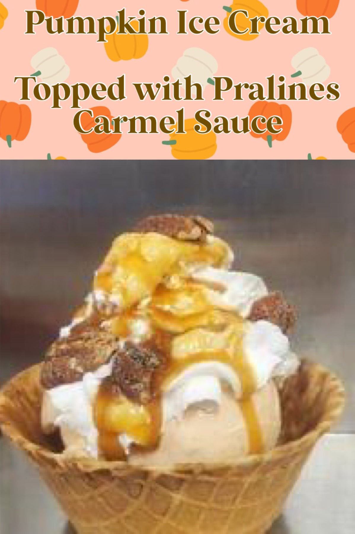 Scoopy Lou's LLC photo