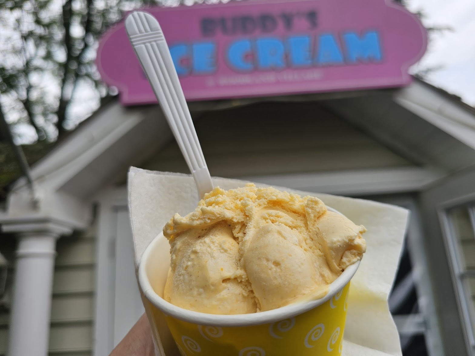Buddy's Ice Cream And Acai Bowls photo