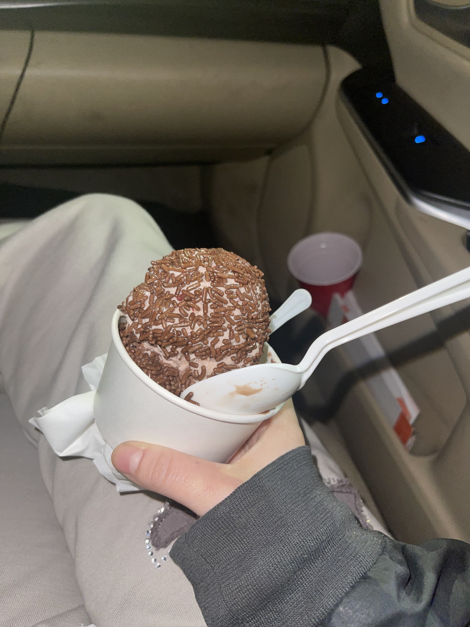 Torico Ice Cream photo