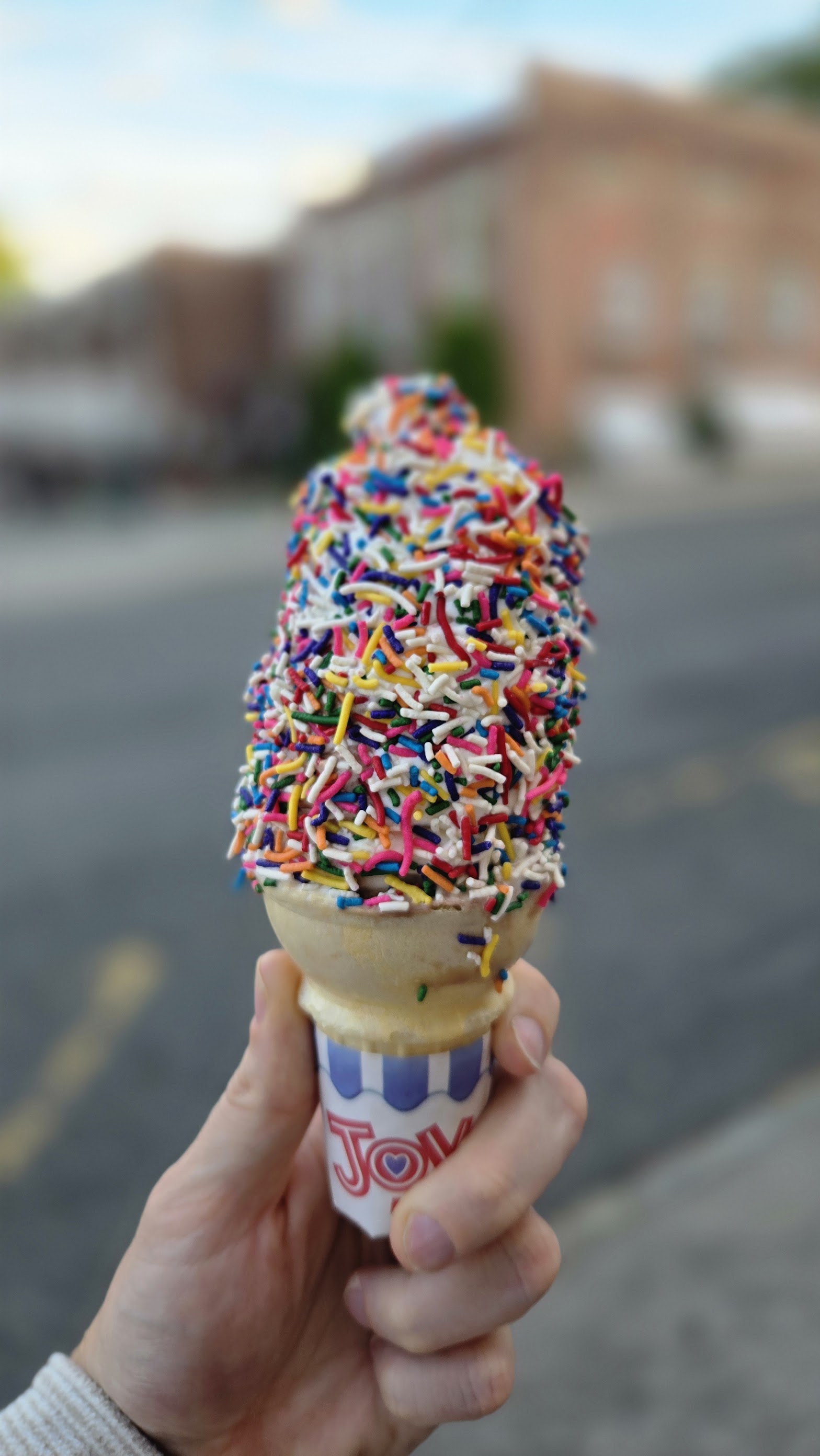 The Towne Scoop photo