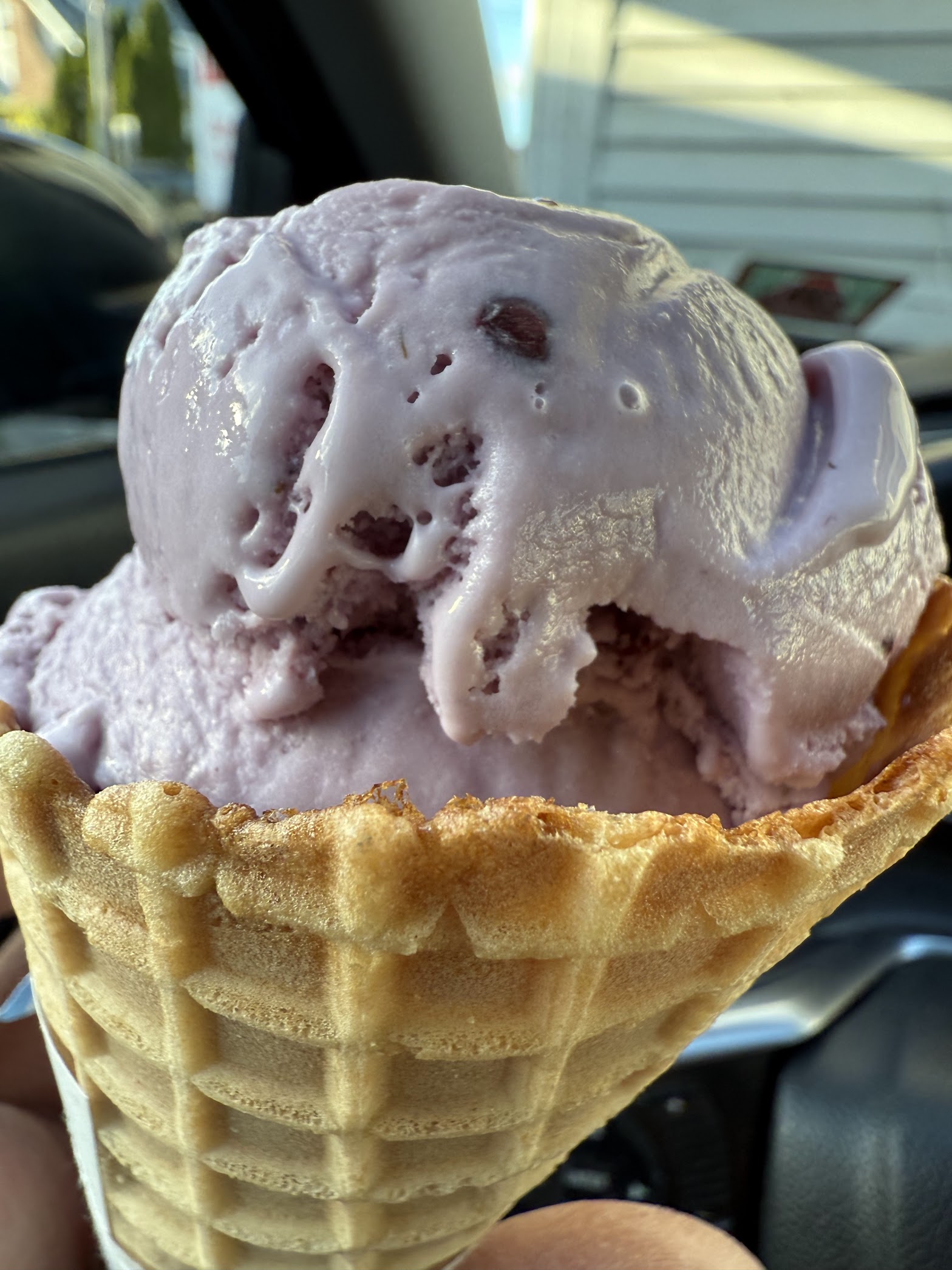 The Towne Scoop photo