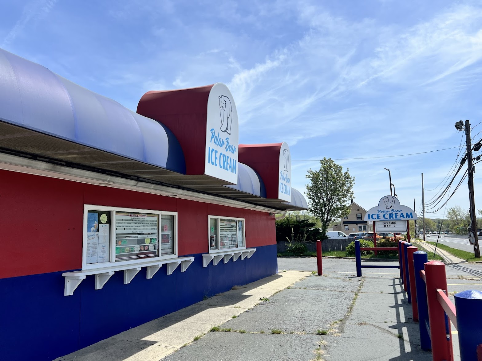 Polar Bear Ice Cream photo