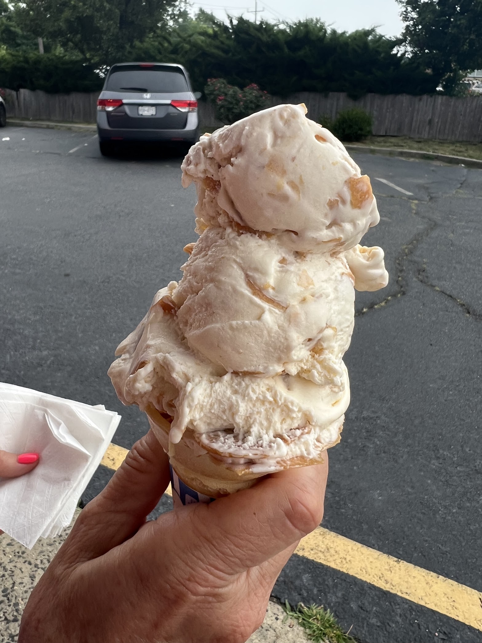 Polar Bear Ice Cream photo