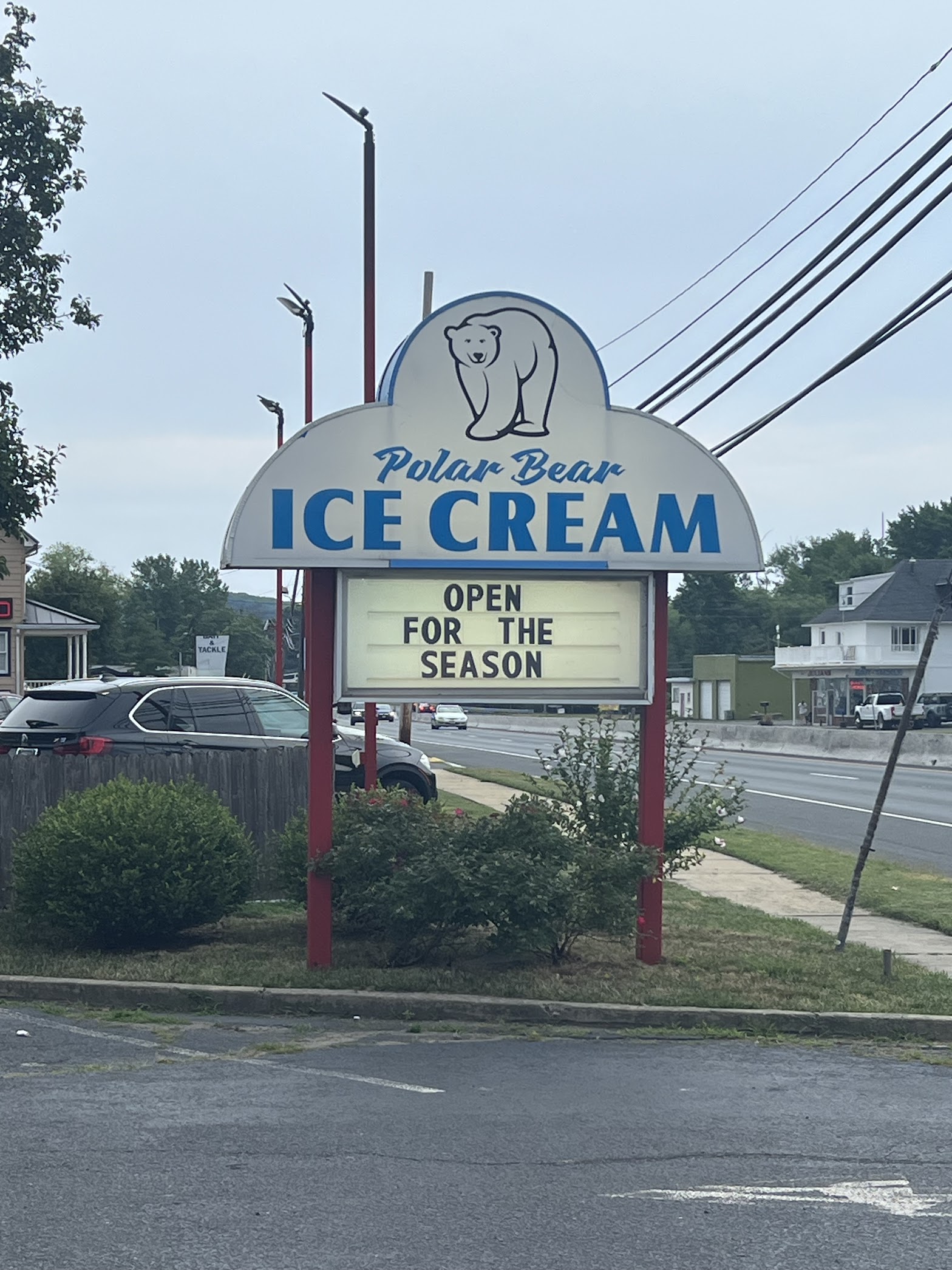 Polar Bear Ice Cream photo