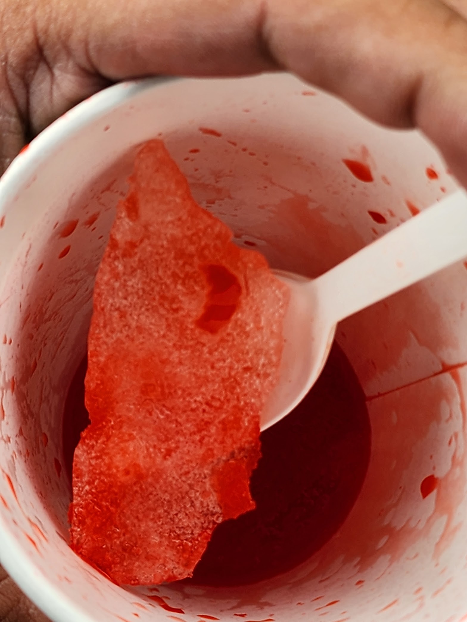 Rita's Italian Ice & Frozen Custard photo