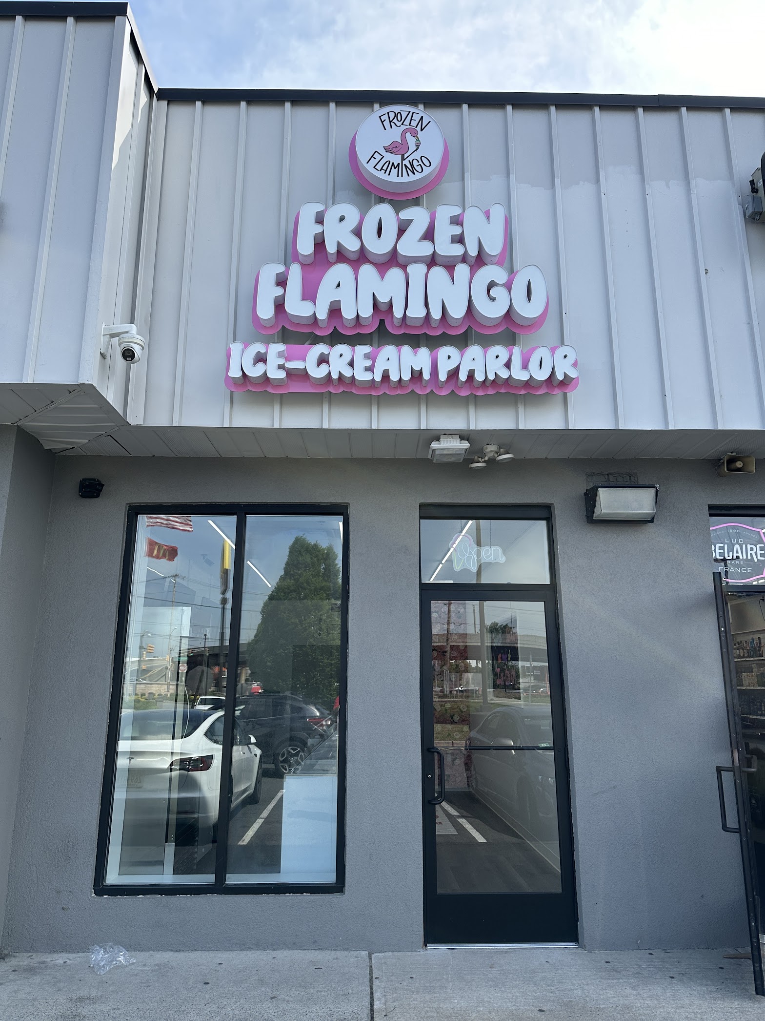 Frozen Flamingo photo