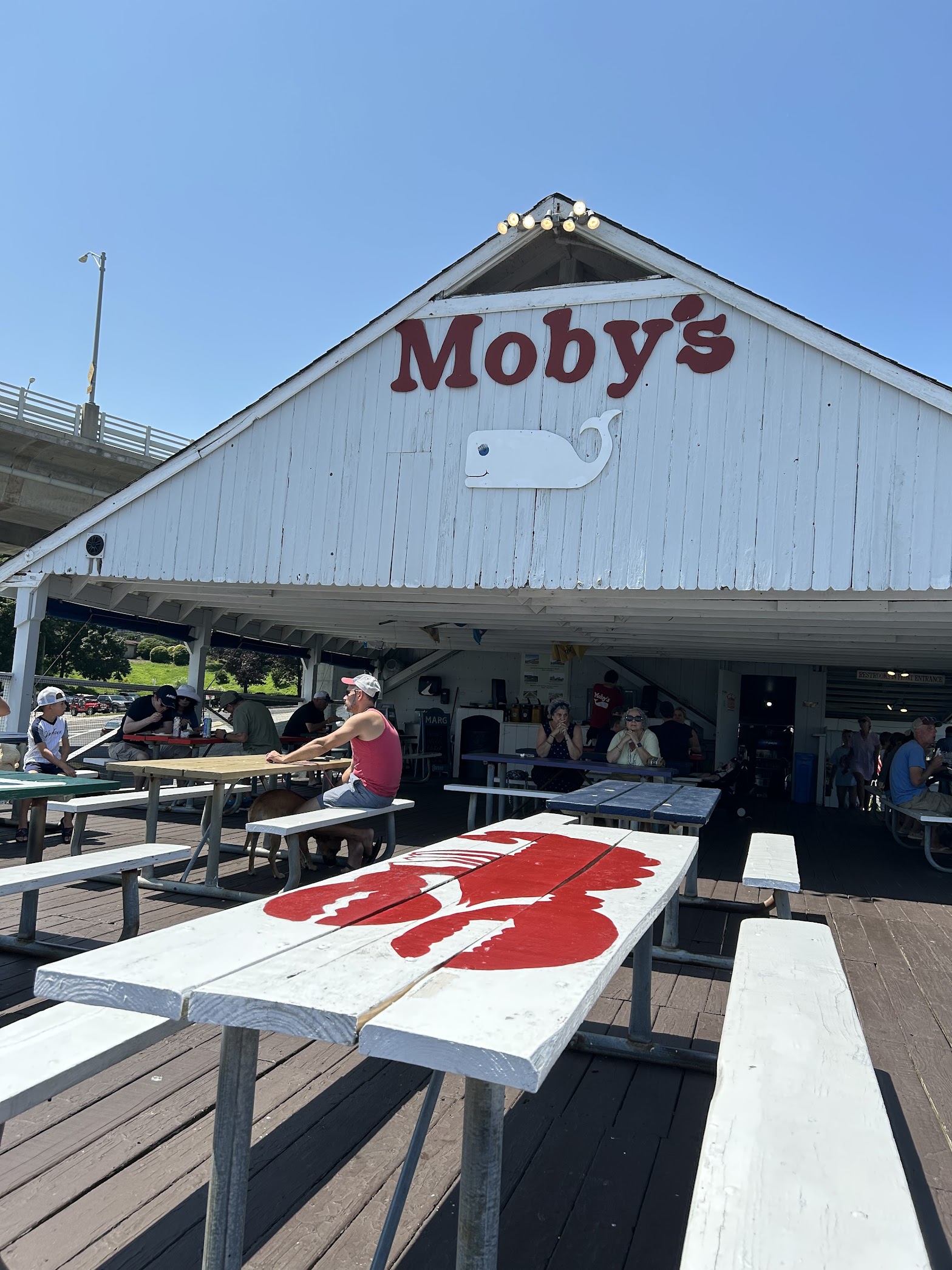 Moby's Freeze photo