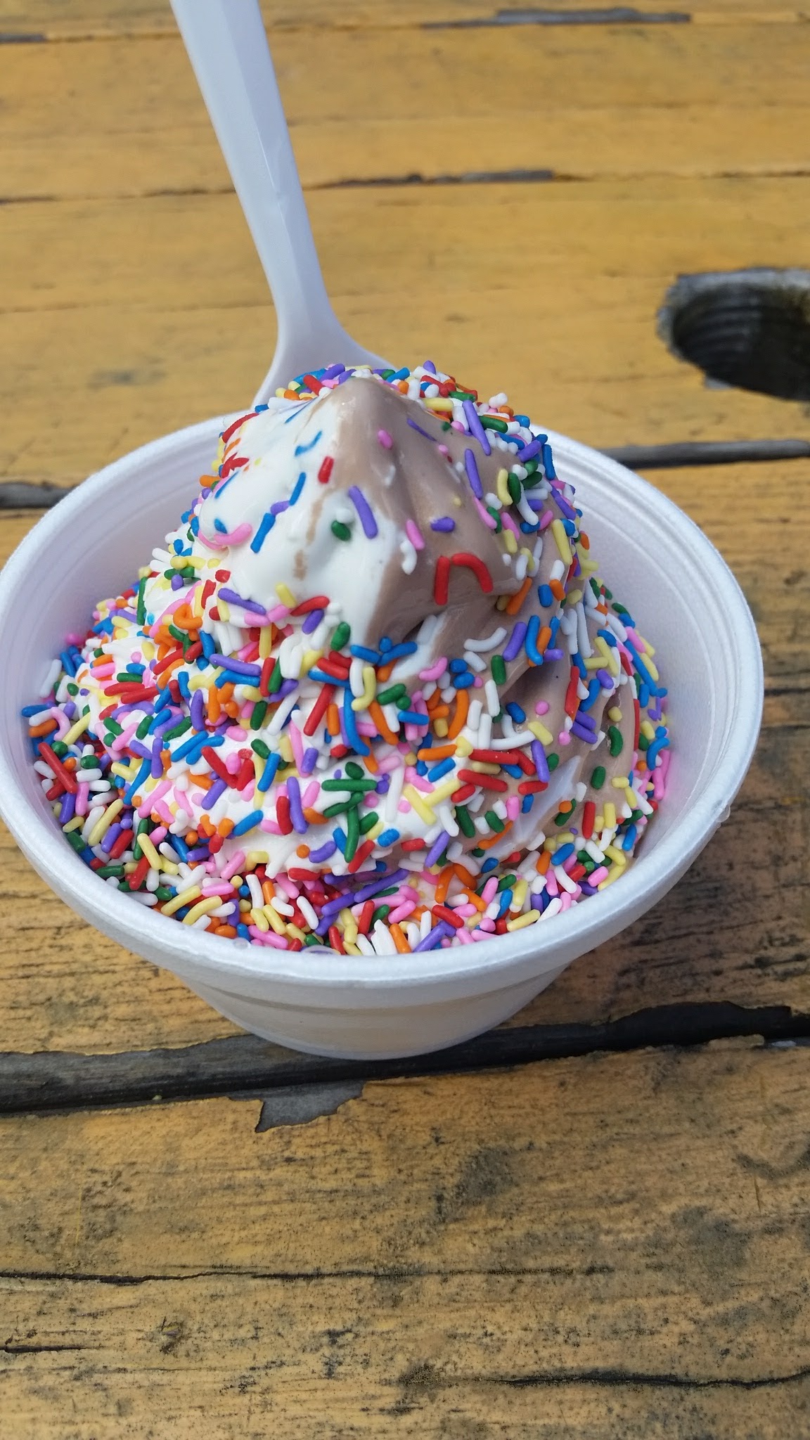 Dairy Deluxe photo