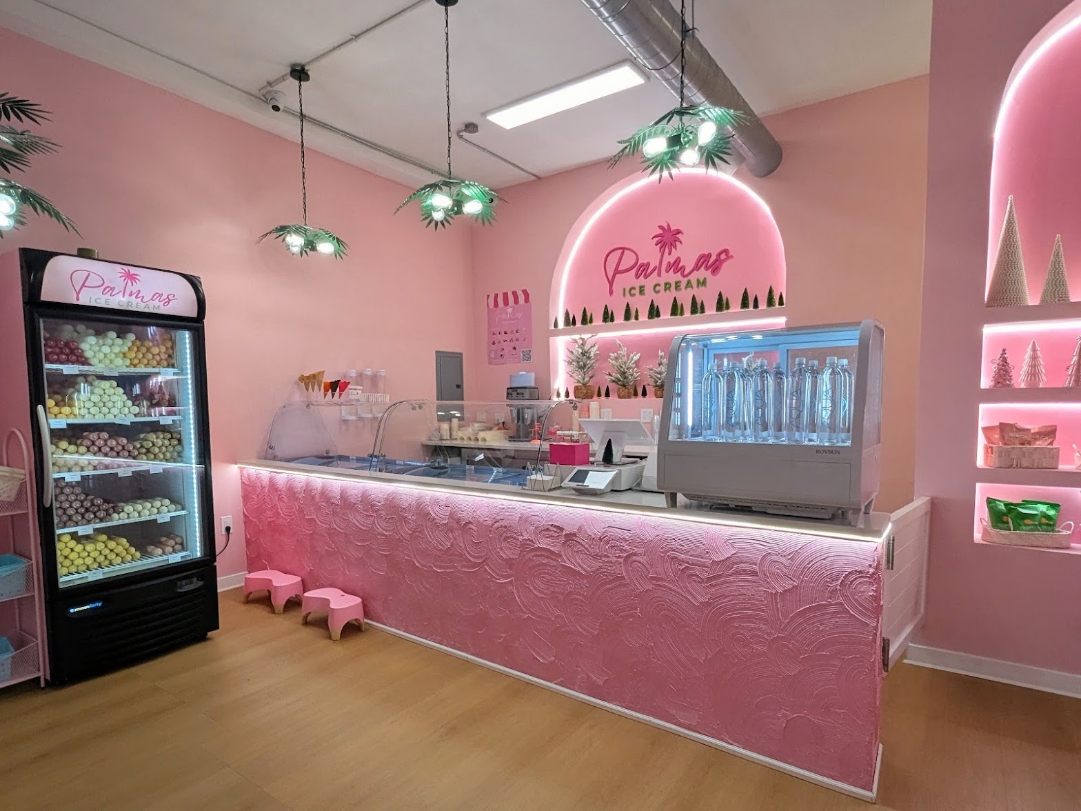 Palmas Ice Cream photo