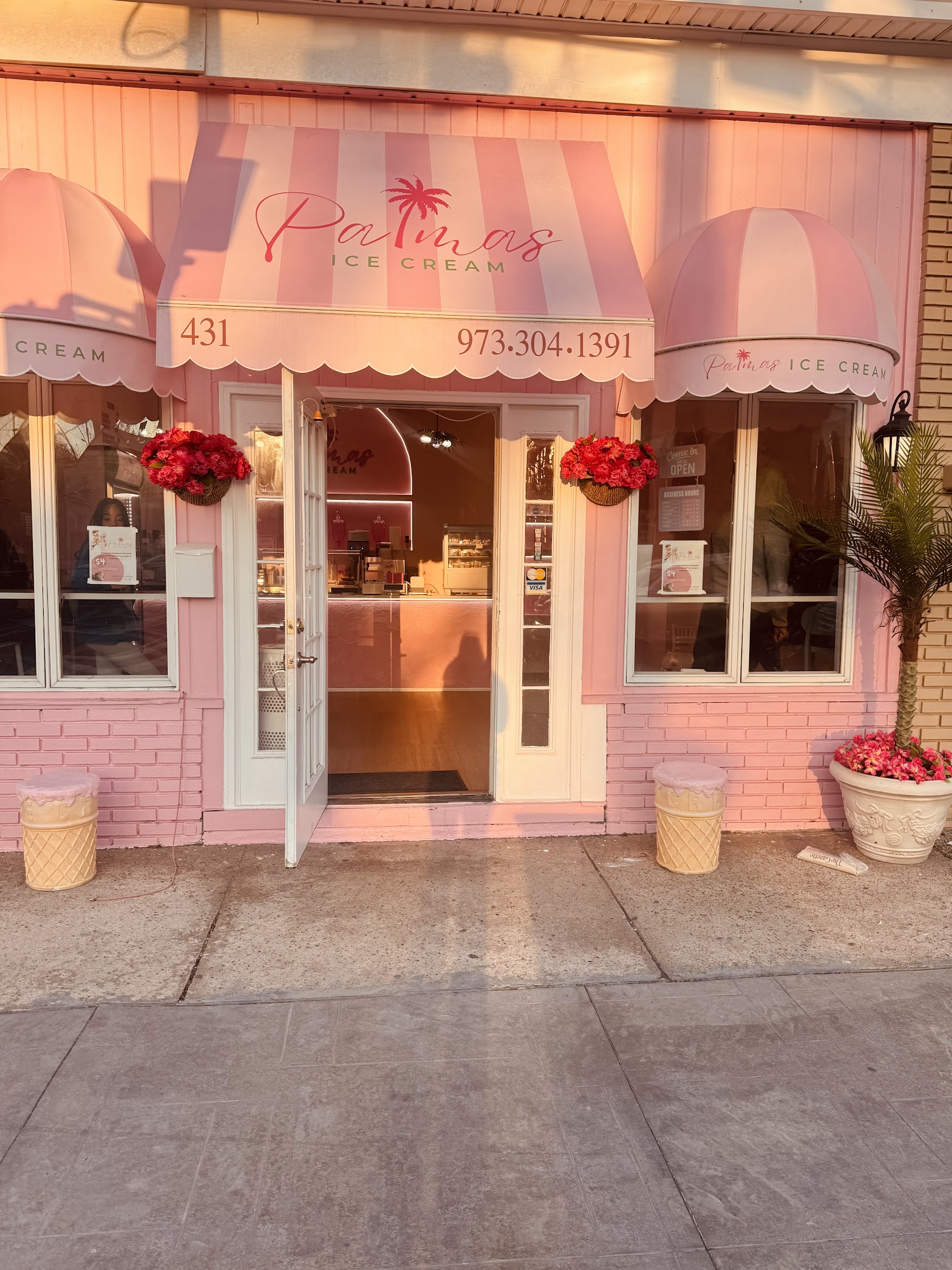 Palmas Ice Cream photo