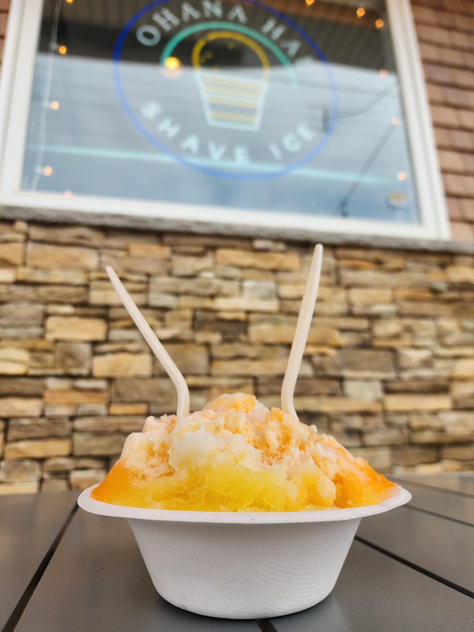 LBI Shave Ice Ohana Hau photo