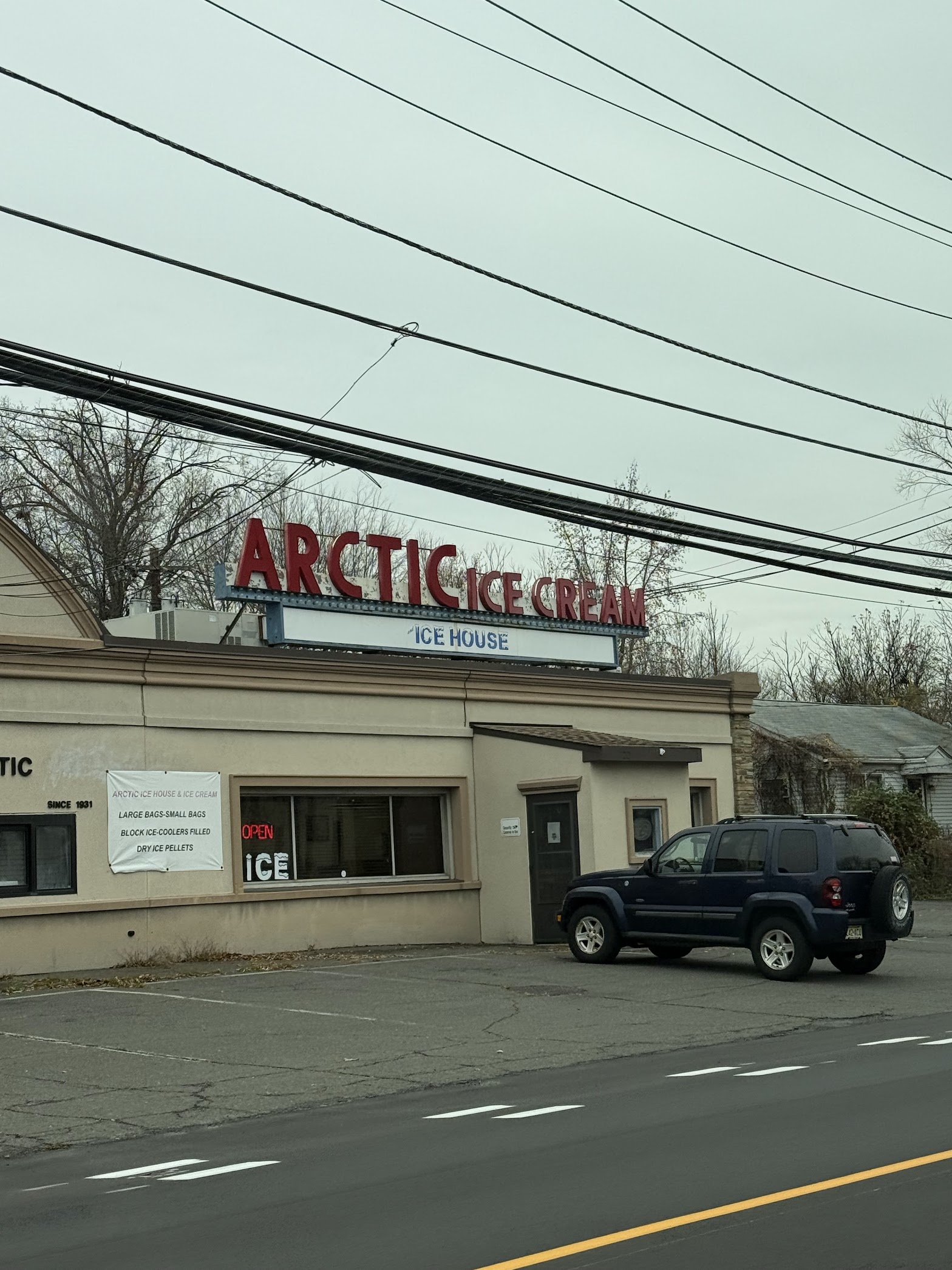 Arctic Ice Cream