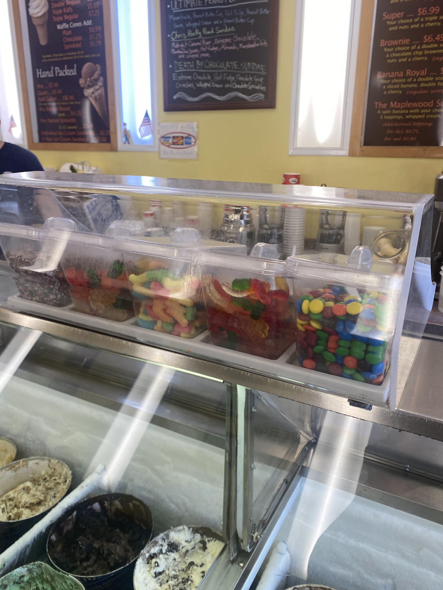 Village Ice Cream Parlour photo