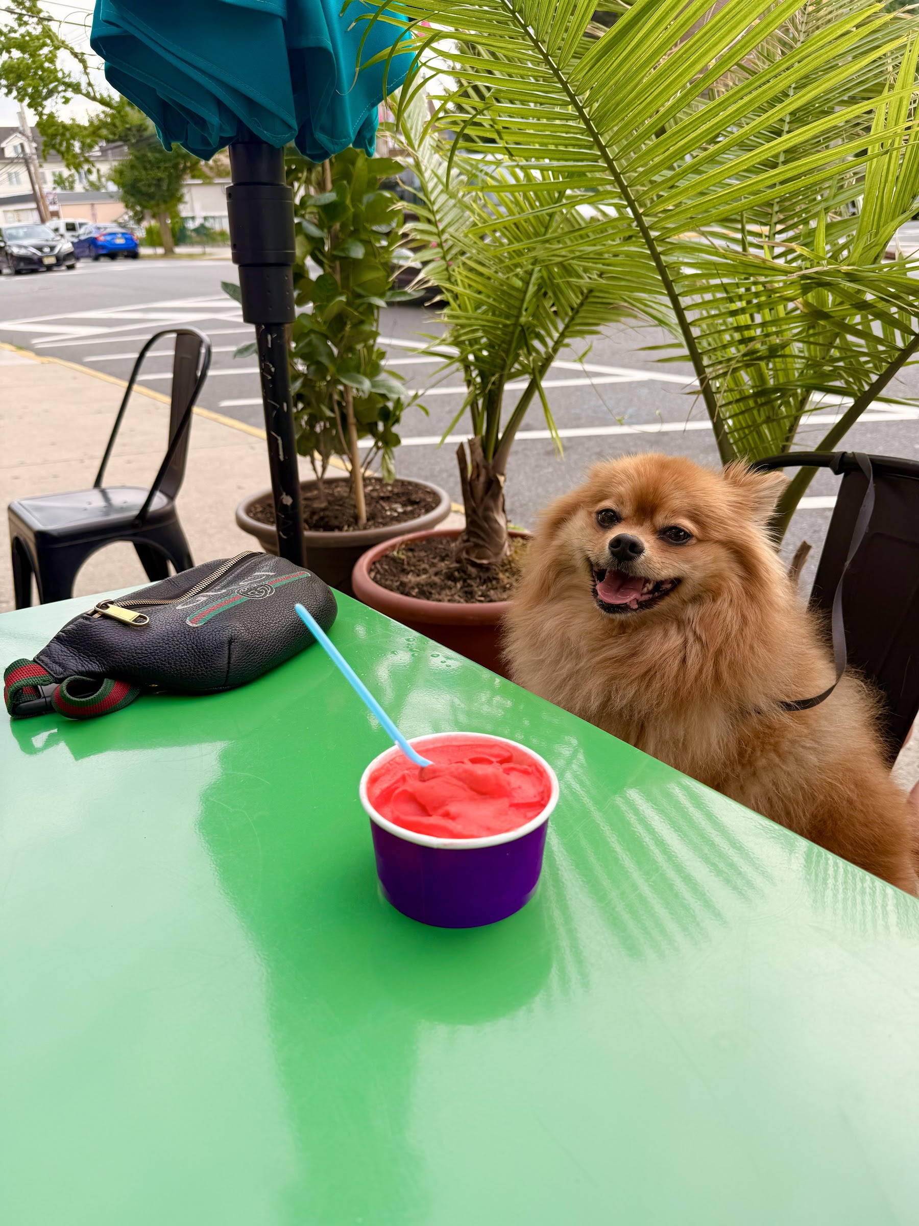 Leo's Italian Ice & Ice Cream photo