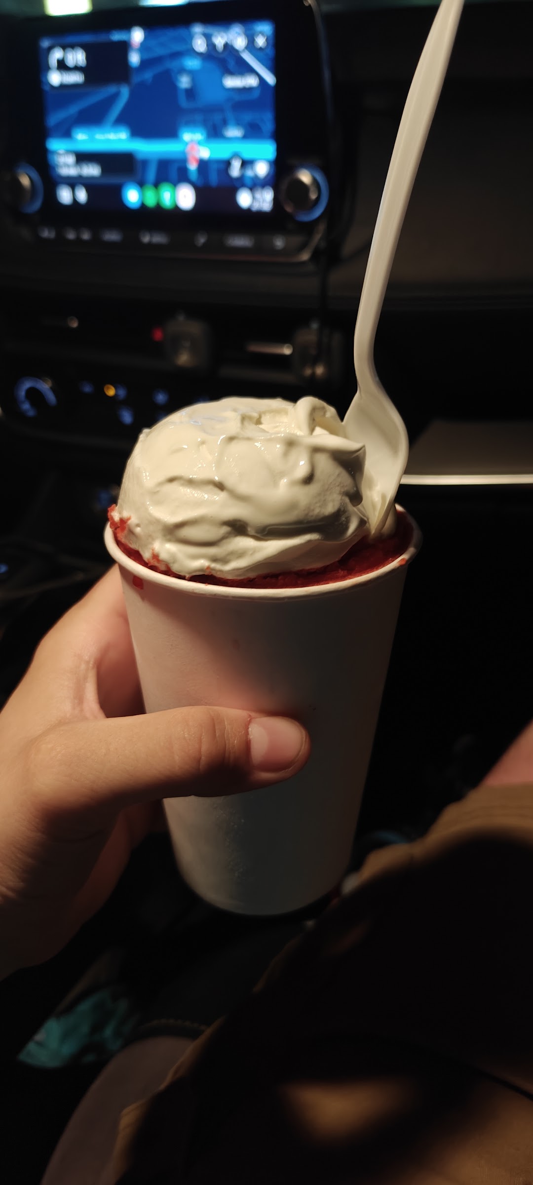 Sundaes Homemade photo