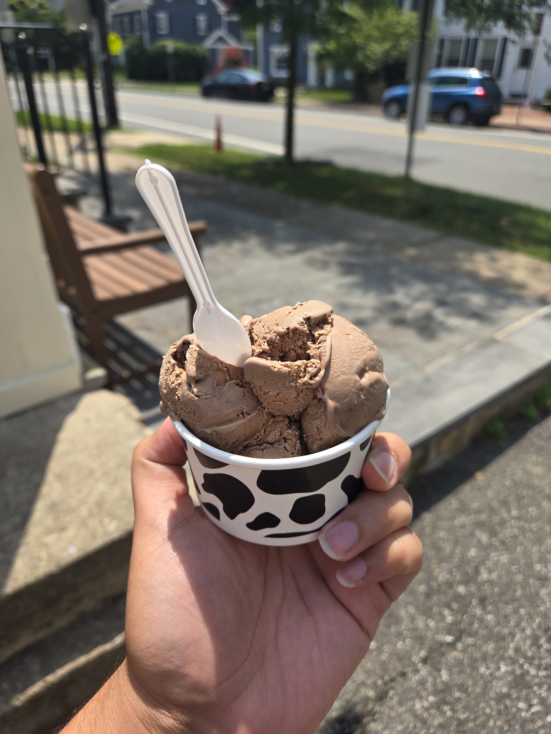 Mendham Creamery photo