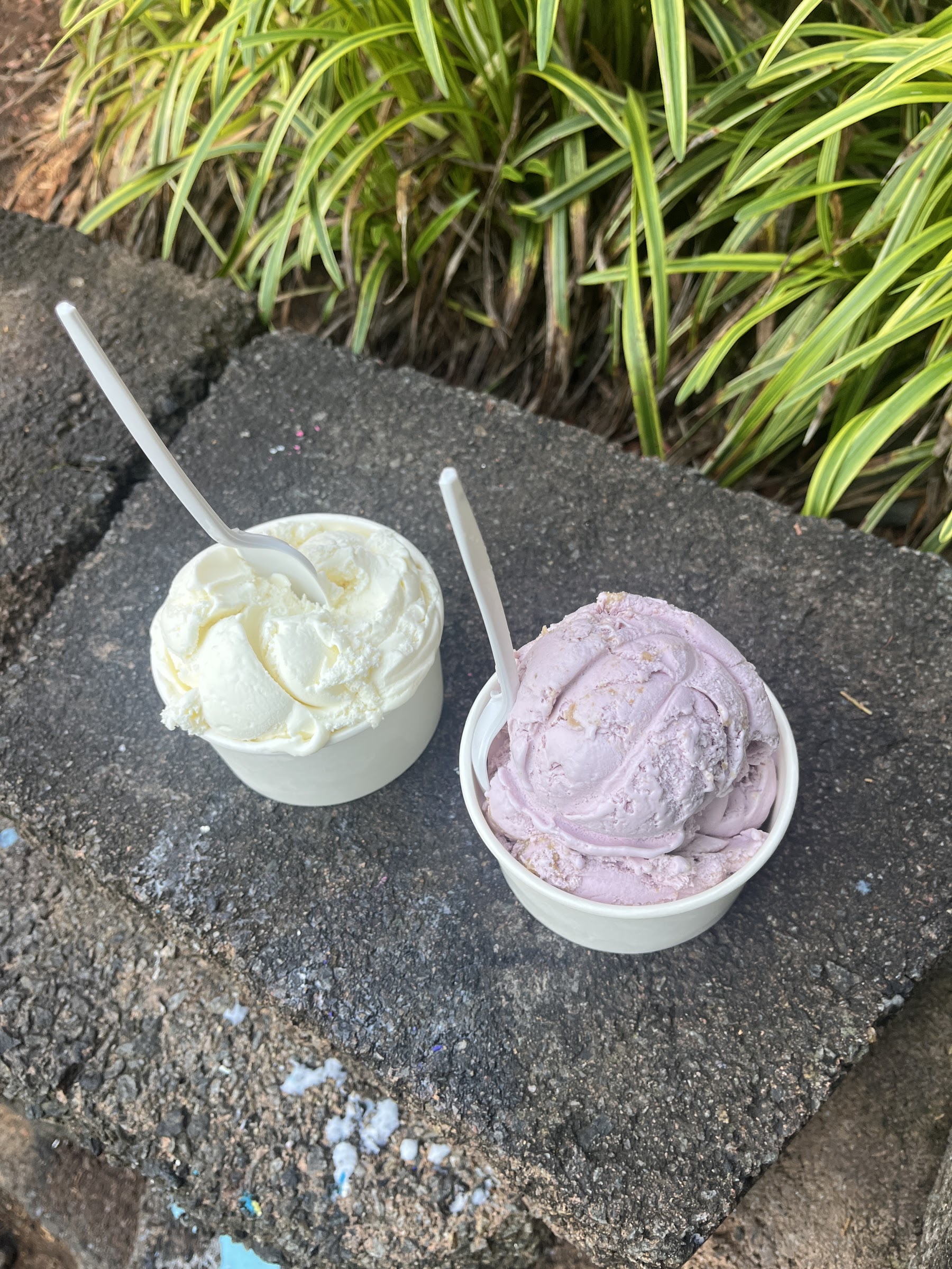 Van Dyk's Homemade Ice Cream photo