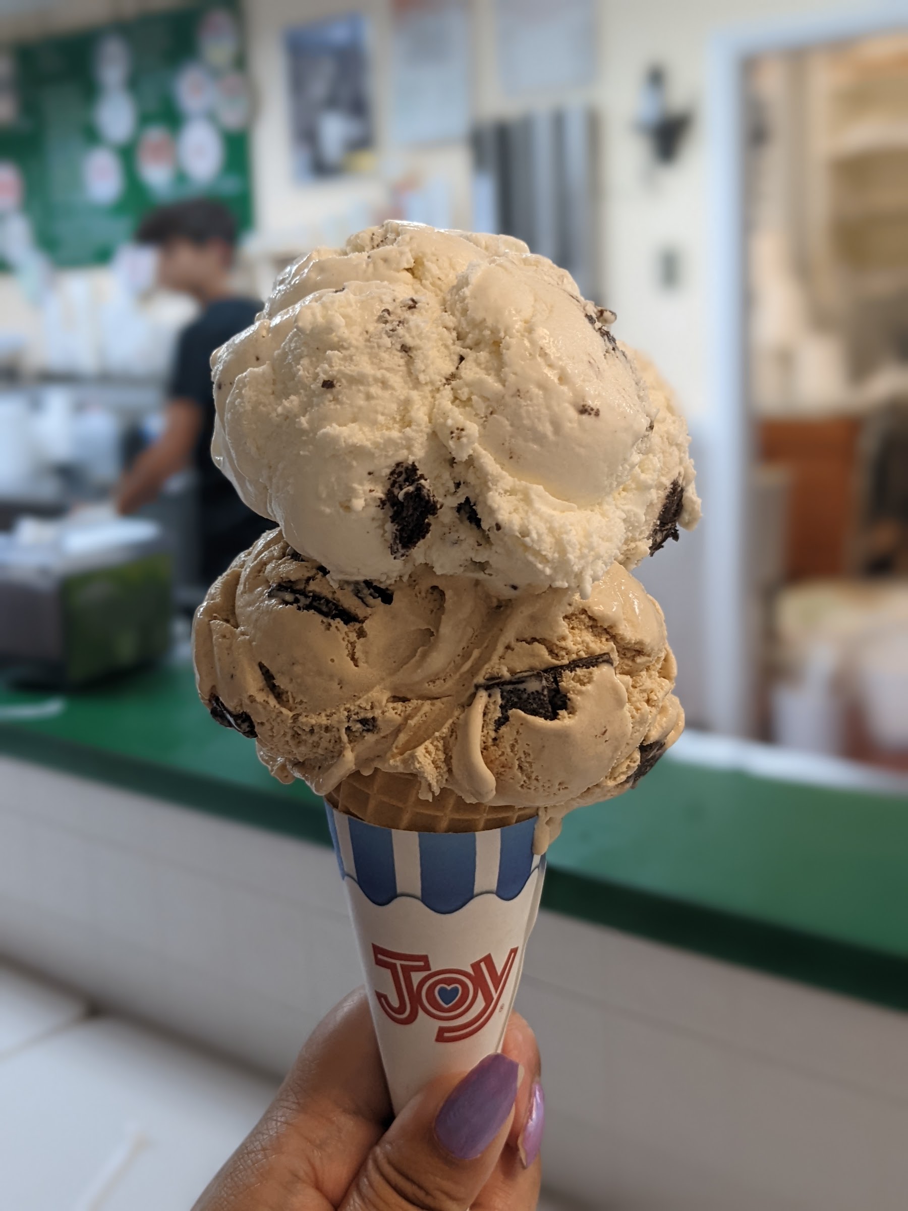 Van Dyk's Homemade Ice Cream