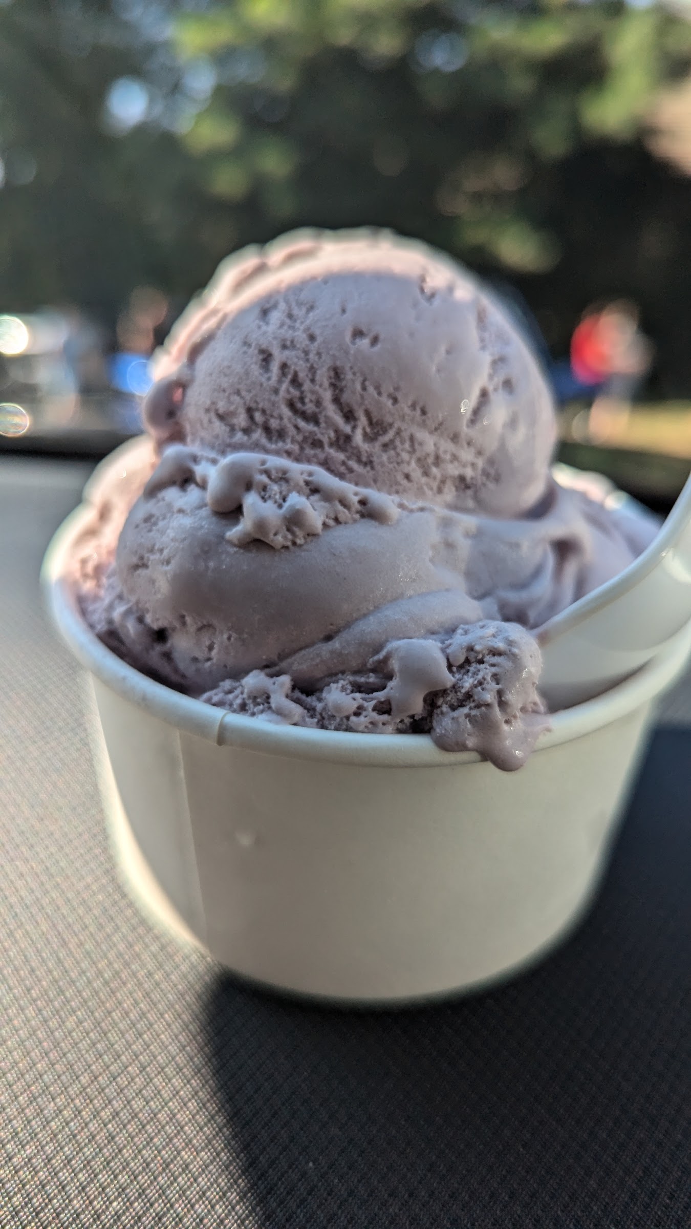 Van Dyk's Homemade Ice Cream photo