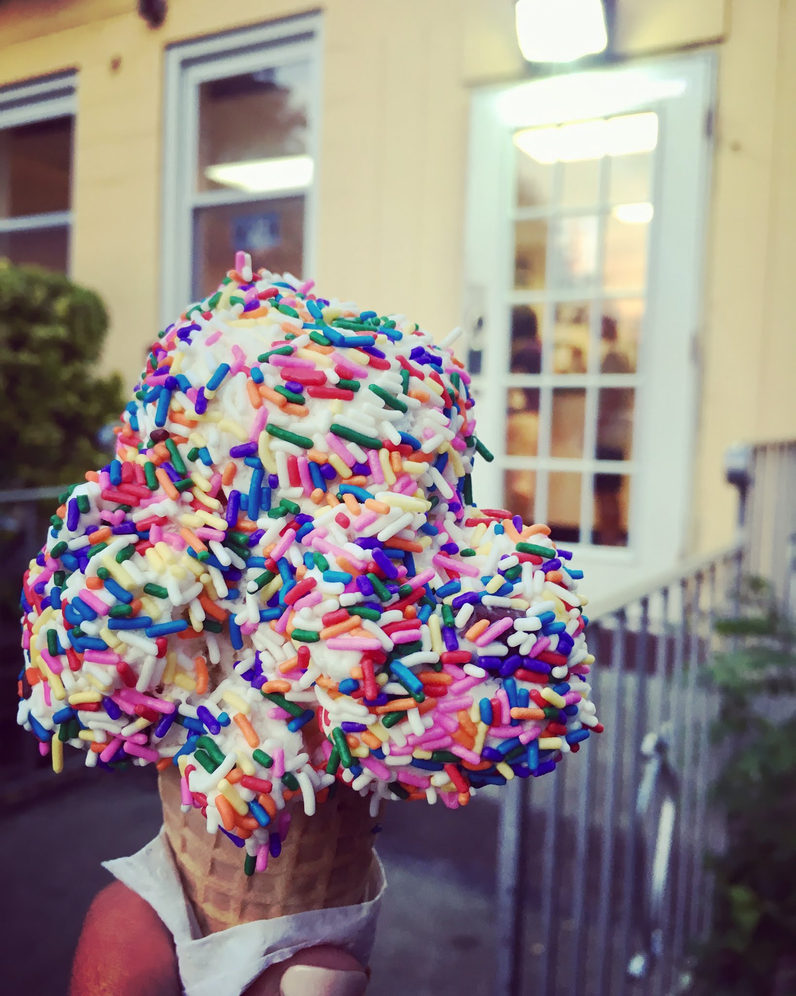 Van Dyk's Homemade Ice Cream photo