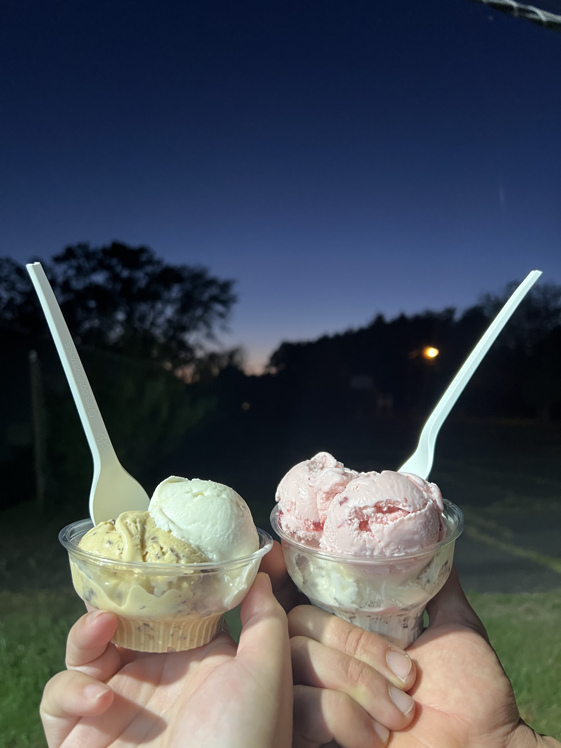 Ice Cream For All photo